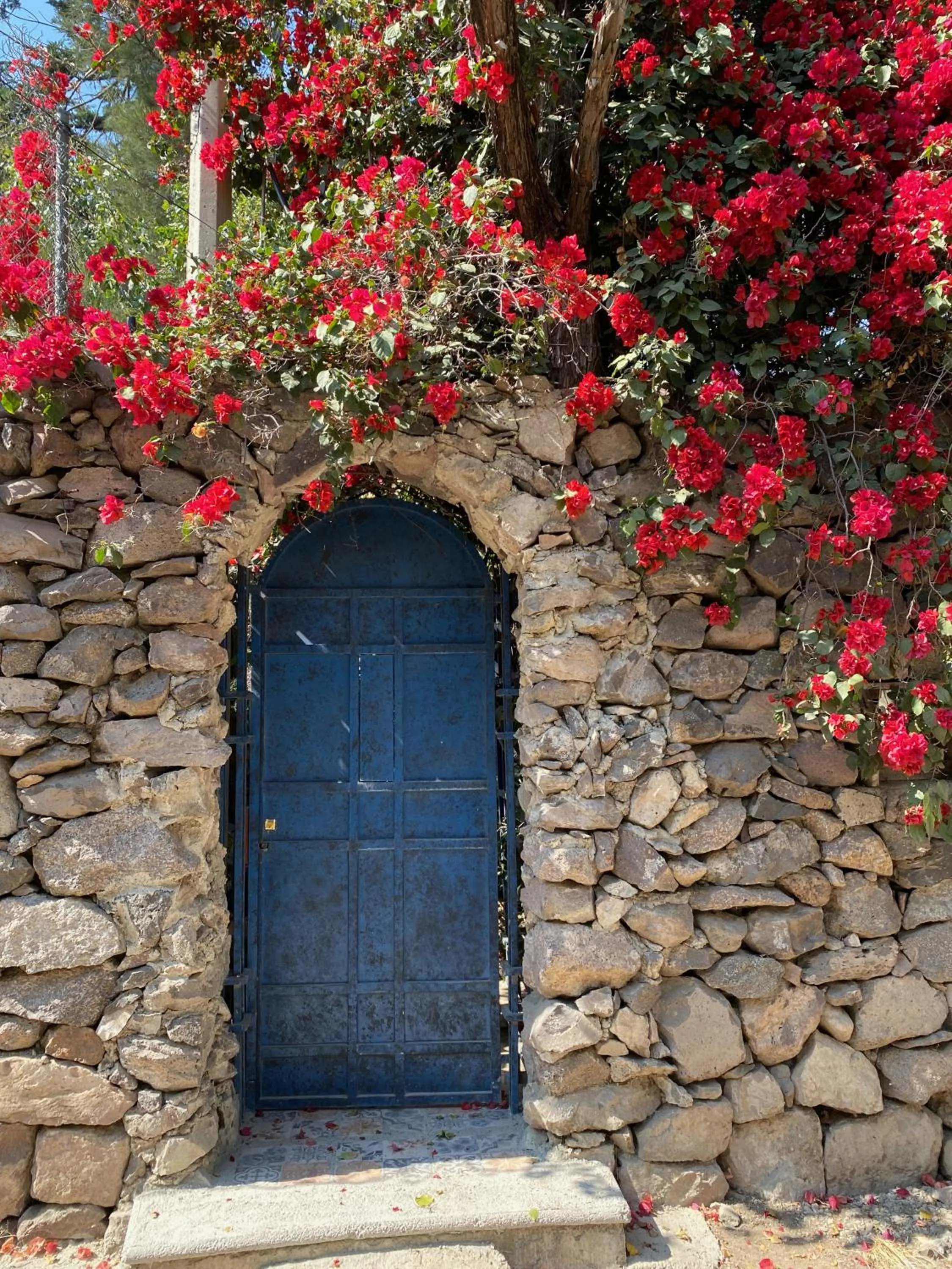 Magnolias Jardin & Boutique Suites