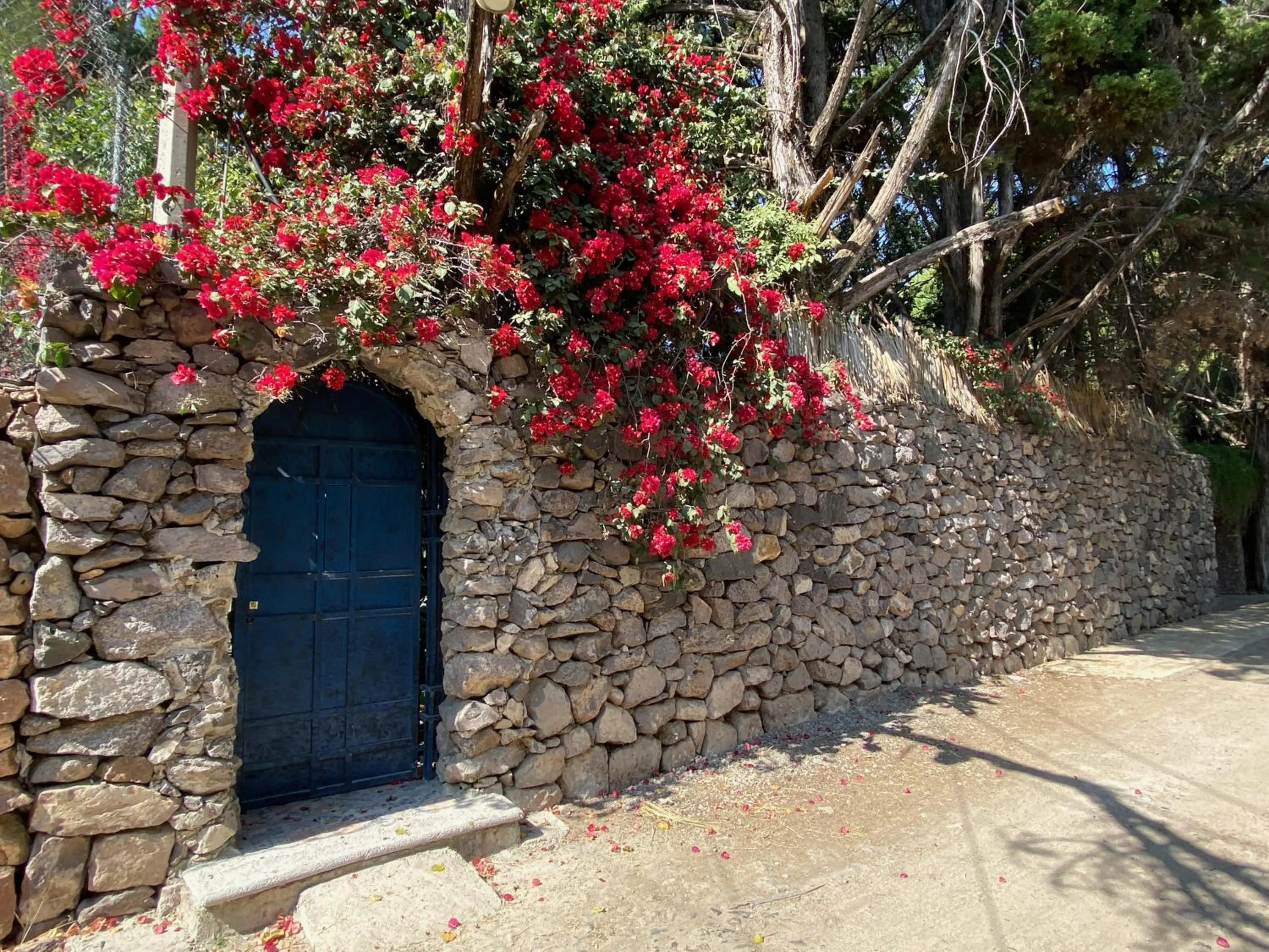 Magnolias Jardin & Boutique Suites