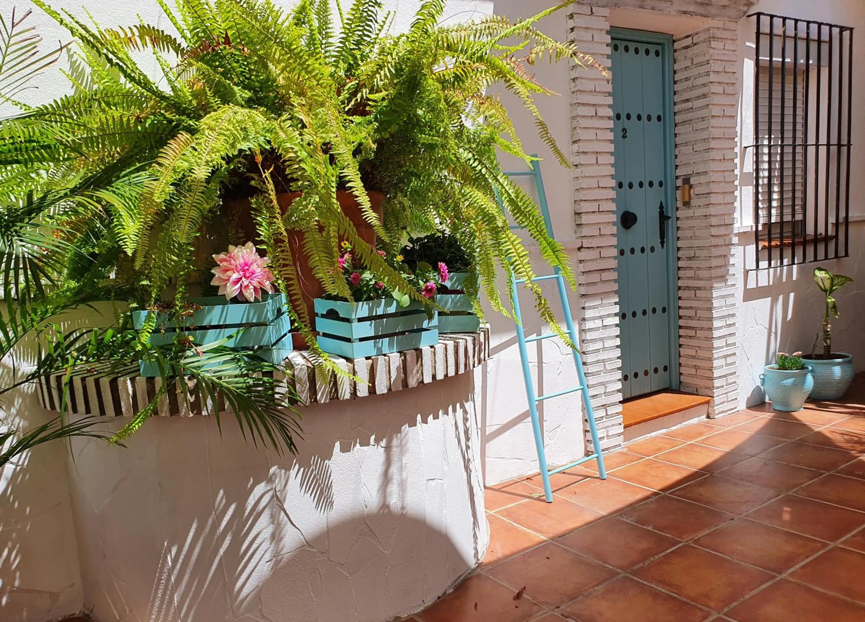 Patio in El Nogal Home