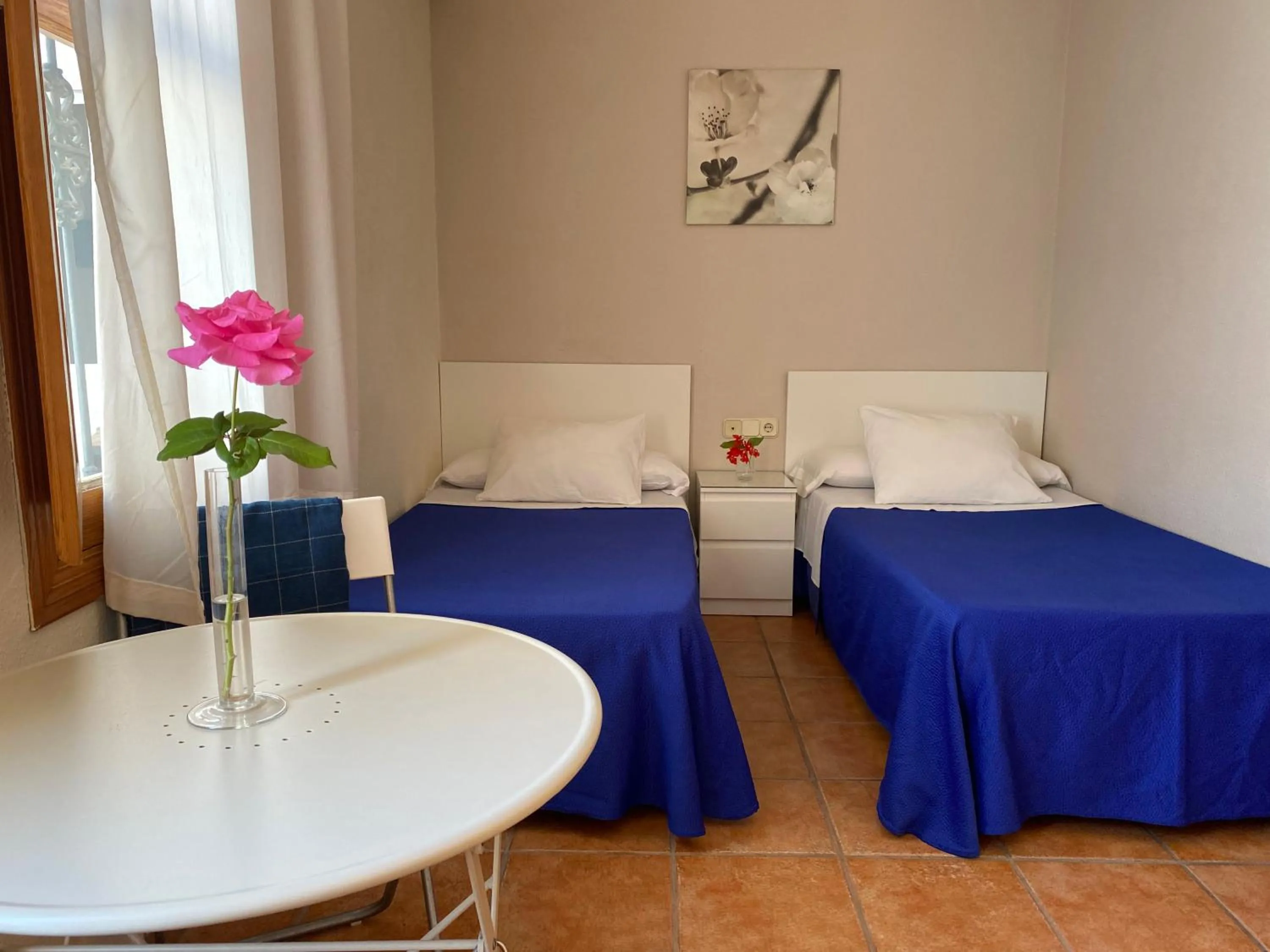 Bed in Hostal Moscatel