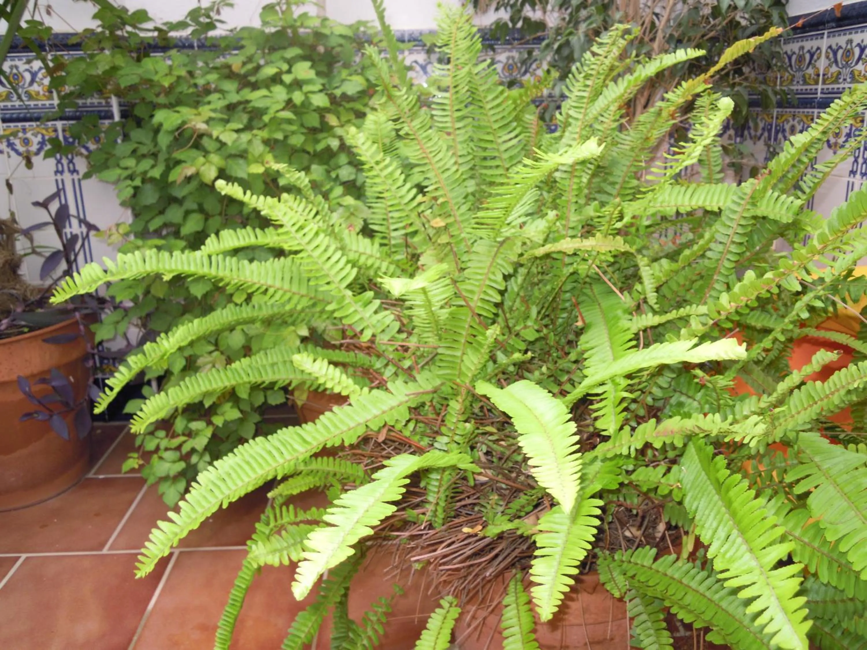 Other in Hostal Moscatel