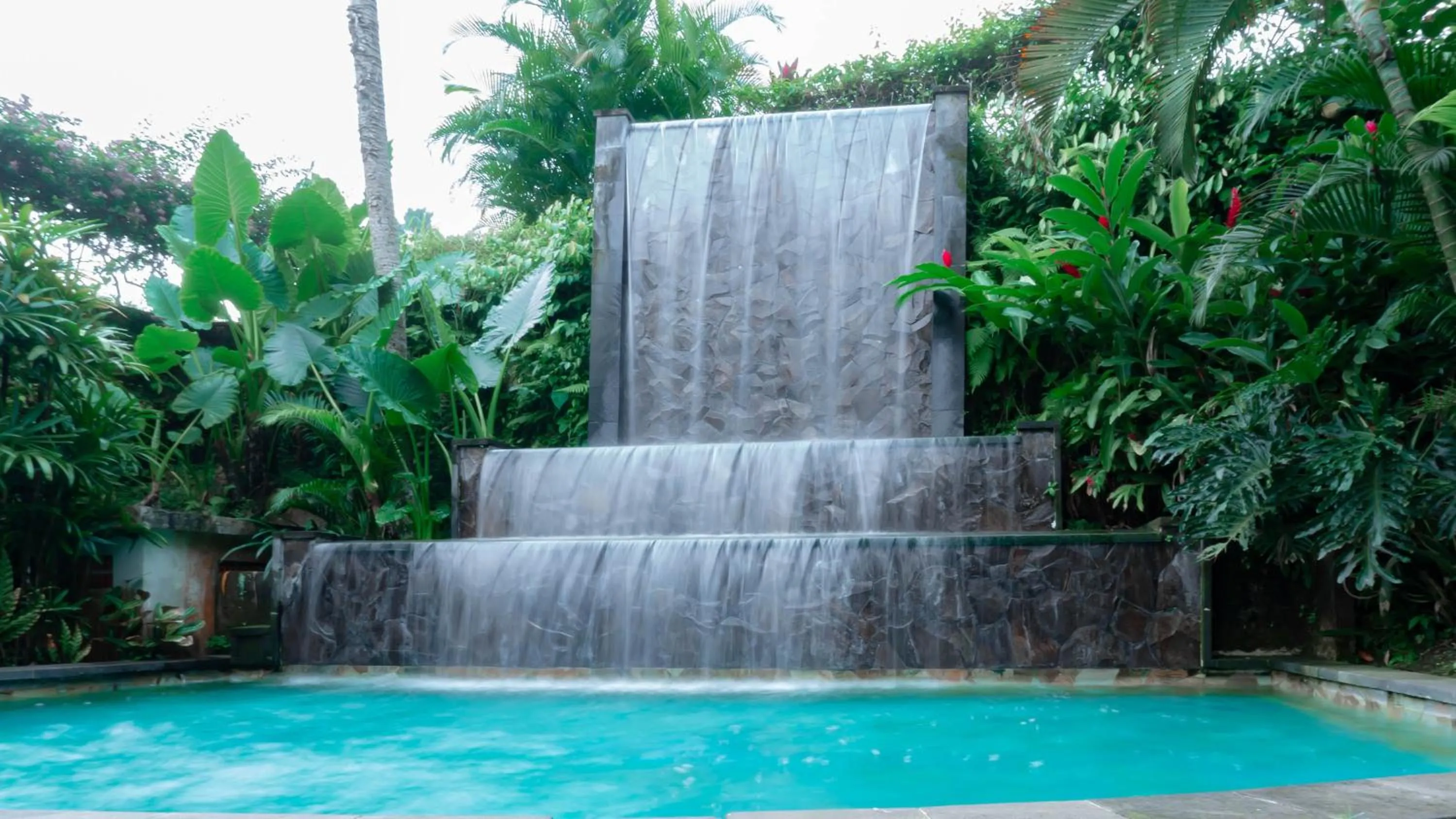 Garden in The Lotus Residence by Amerta Experience
