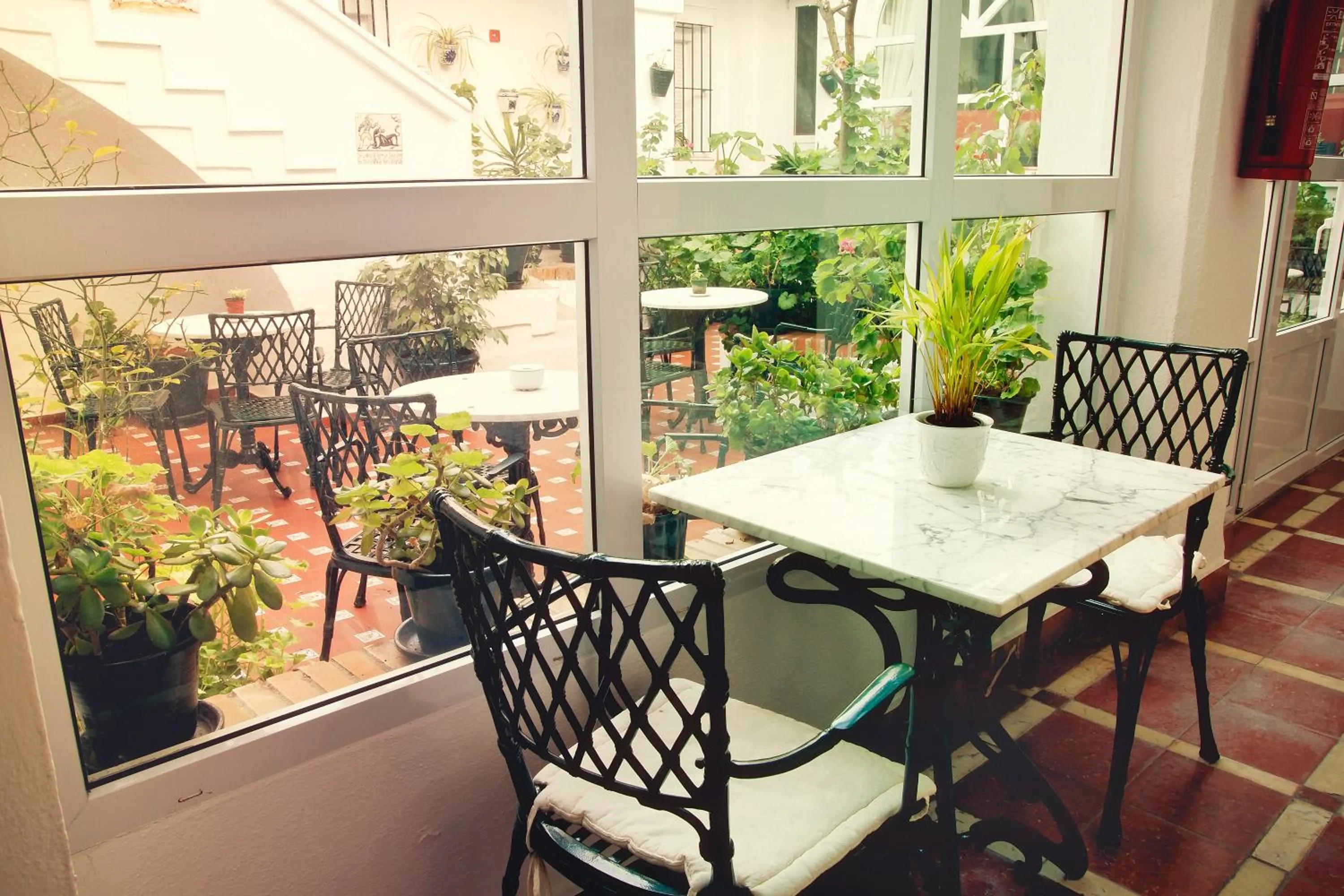 Area and facilities in Hotel Los Olivos