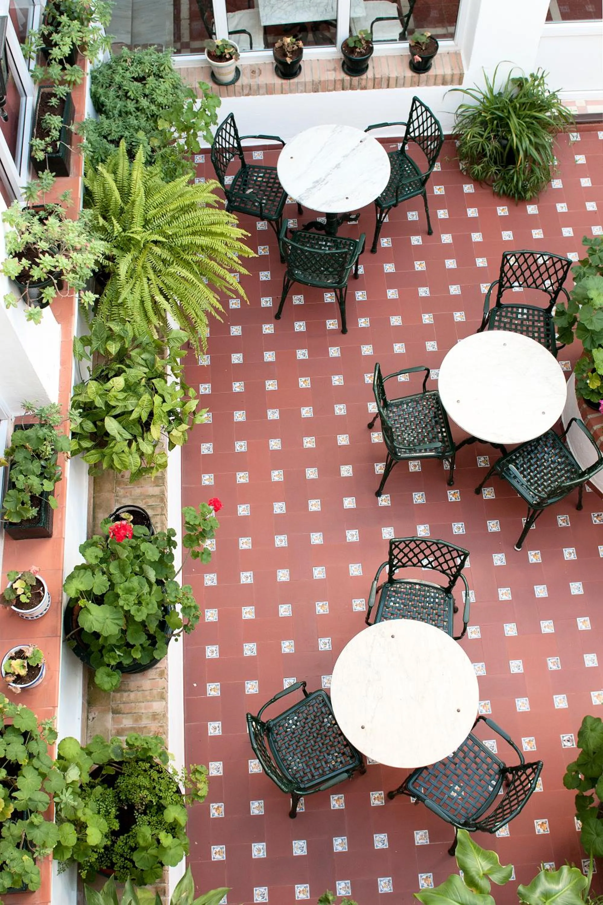 Patio in Hotel Los Olivos