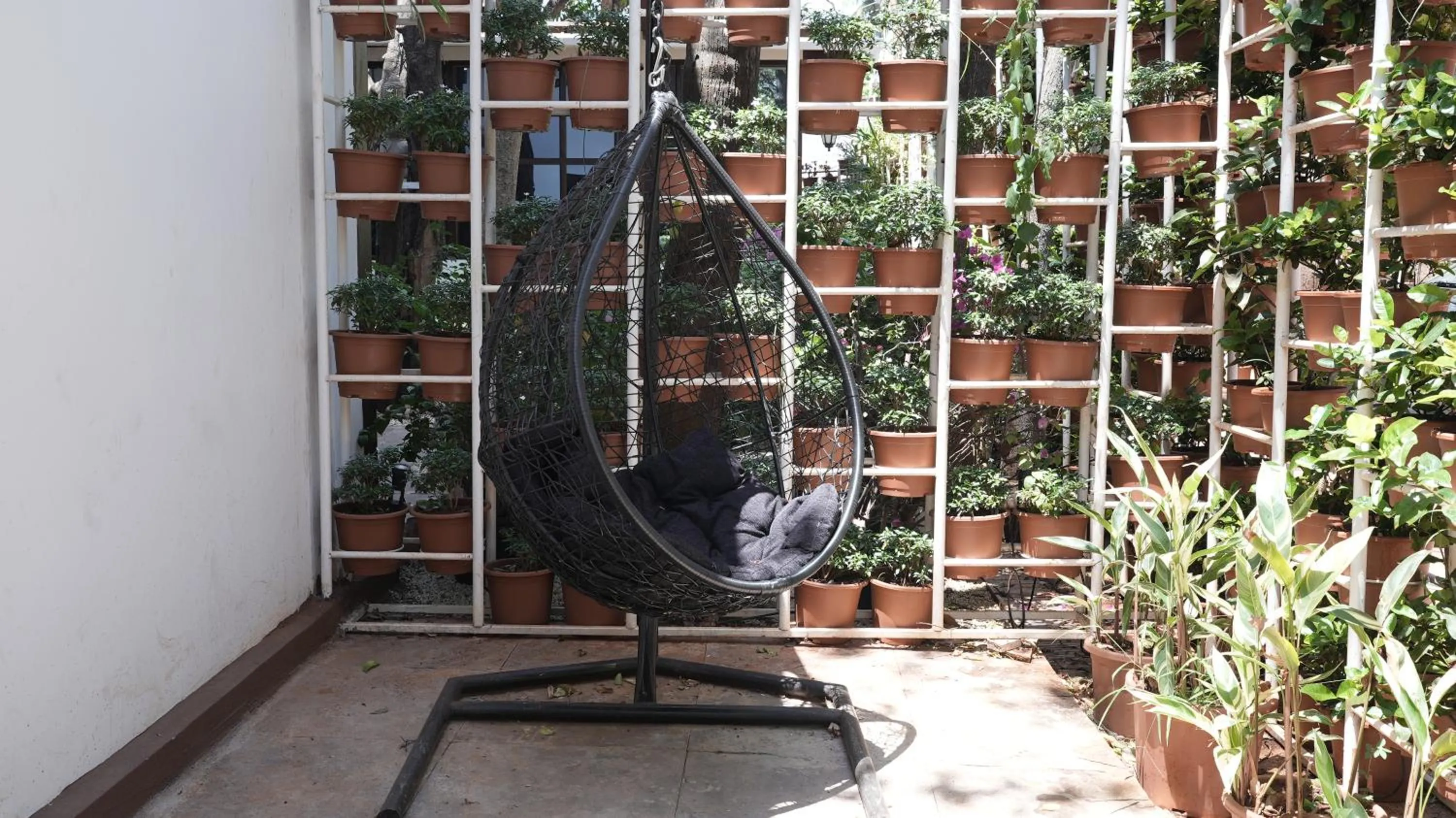 Spring in Prive by Whiteflower