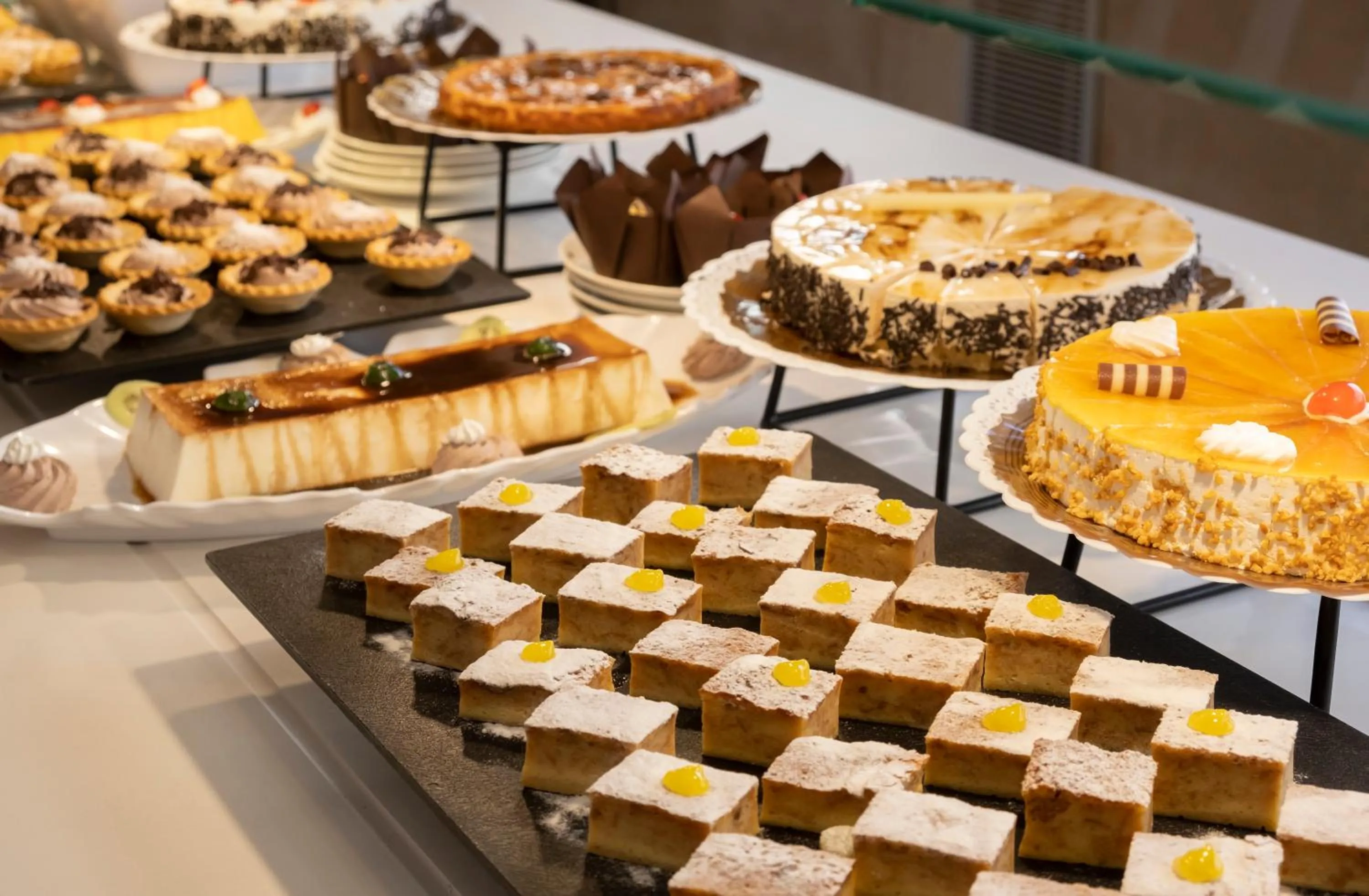 Lunch in Rosamar & Spa 4*s