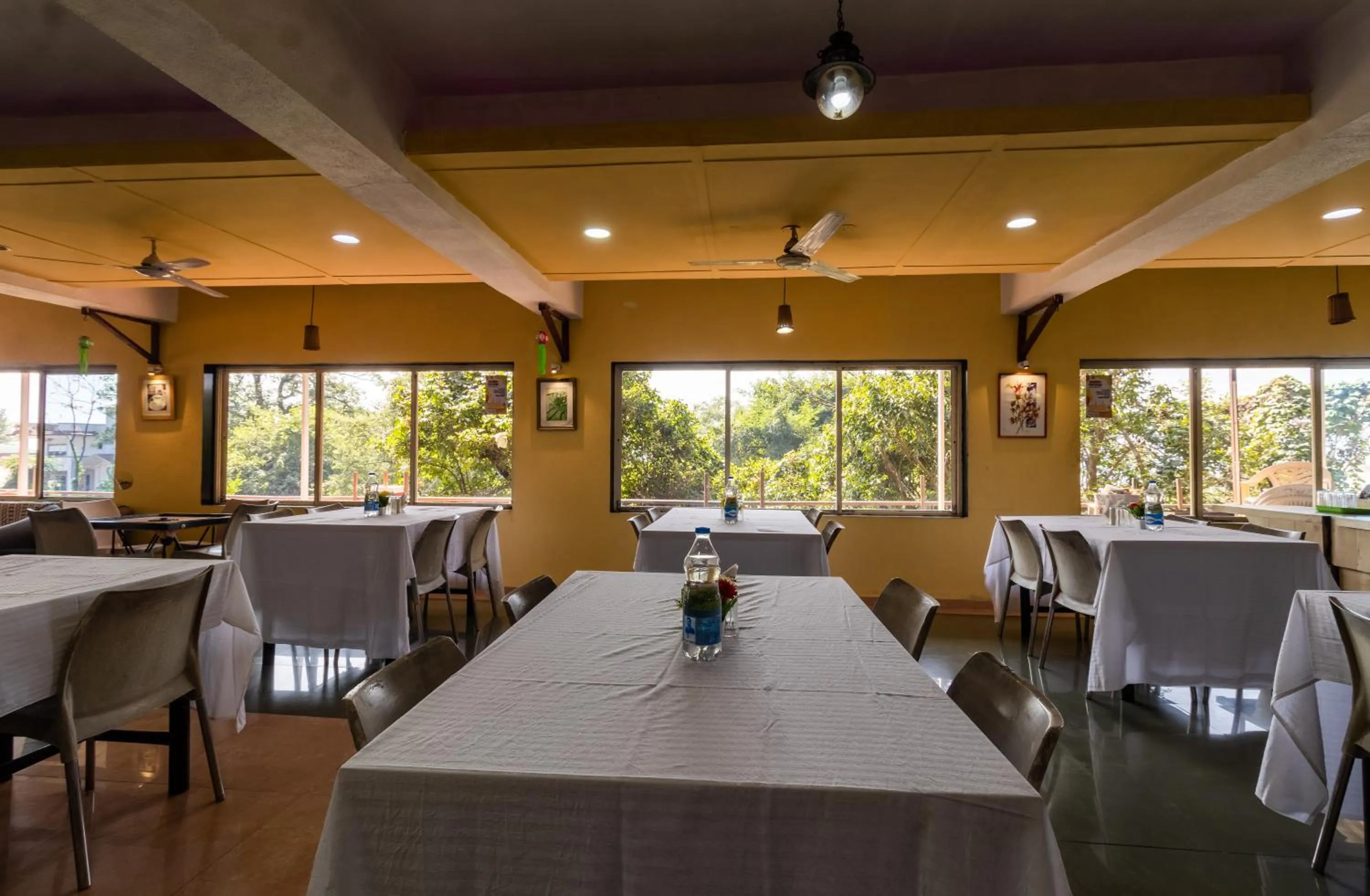 Restaurant/places to eat in Saga Resort