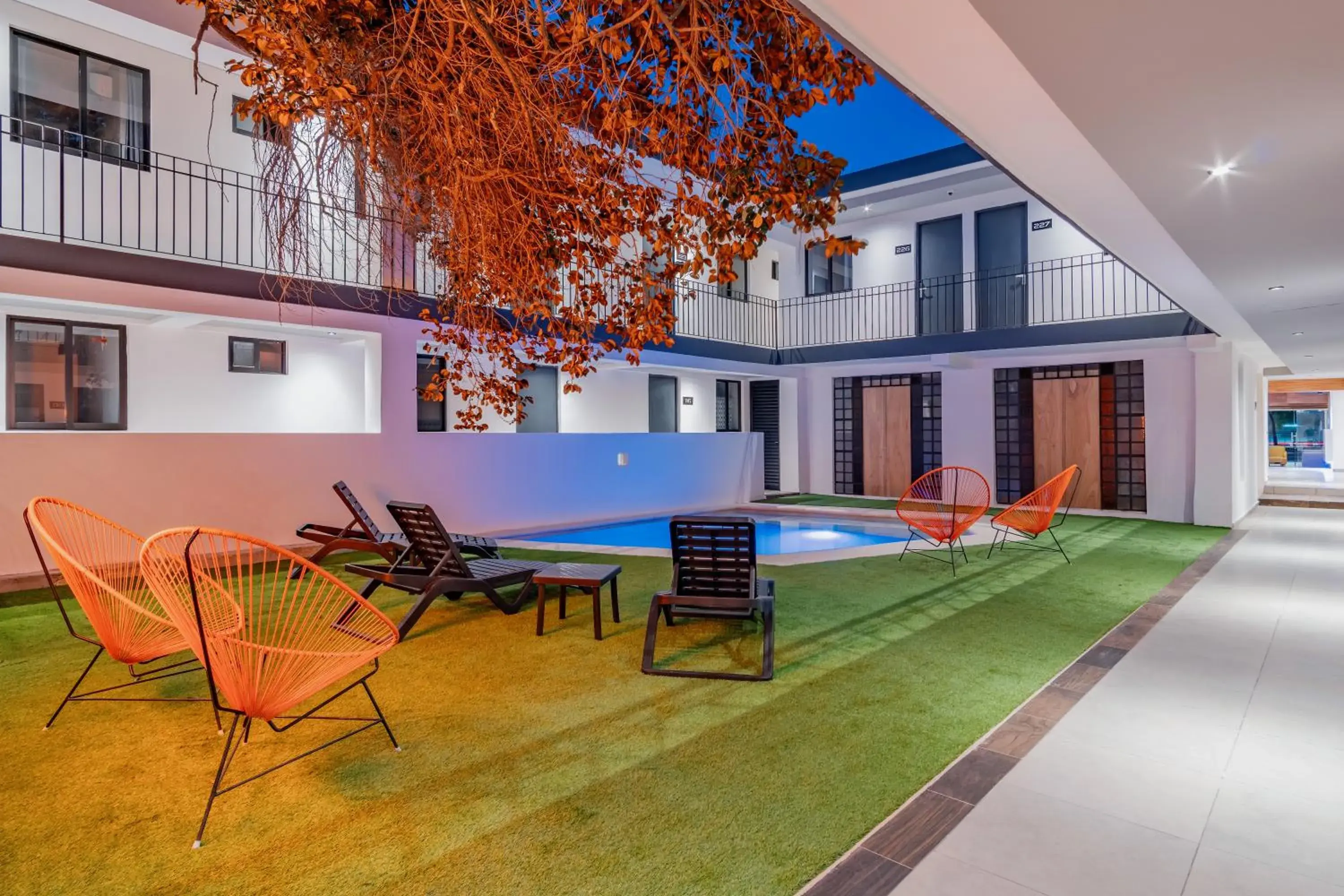 Garden view in Hotel Mody Merida Garden view in Hotel Mody Merida