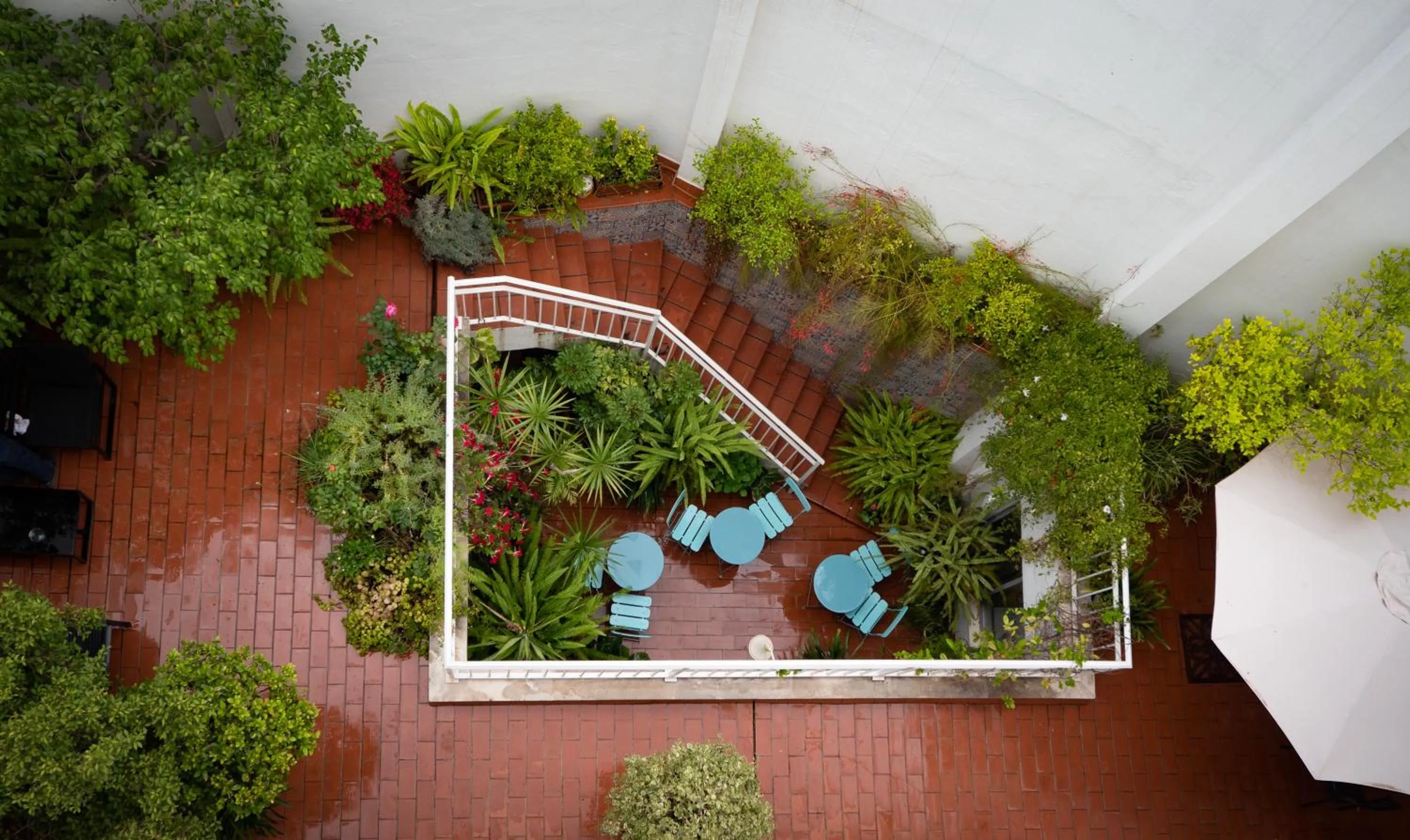 Patio in Hotel Plaza Santa Lucía