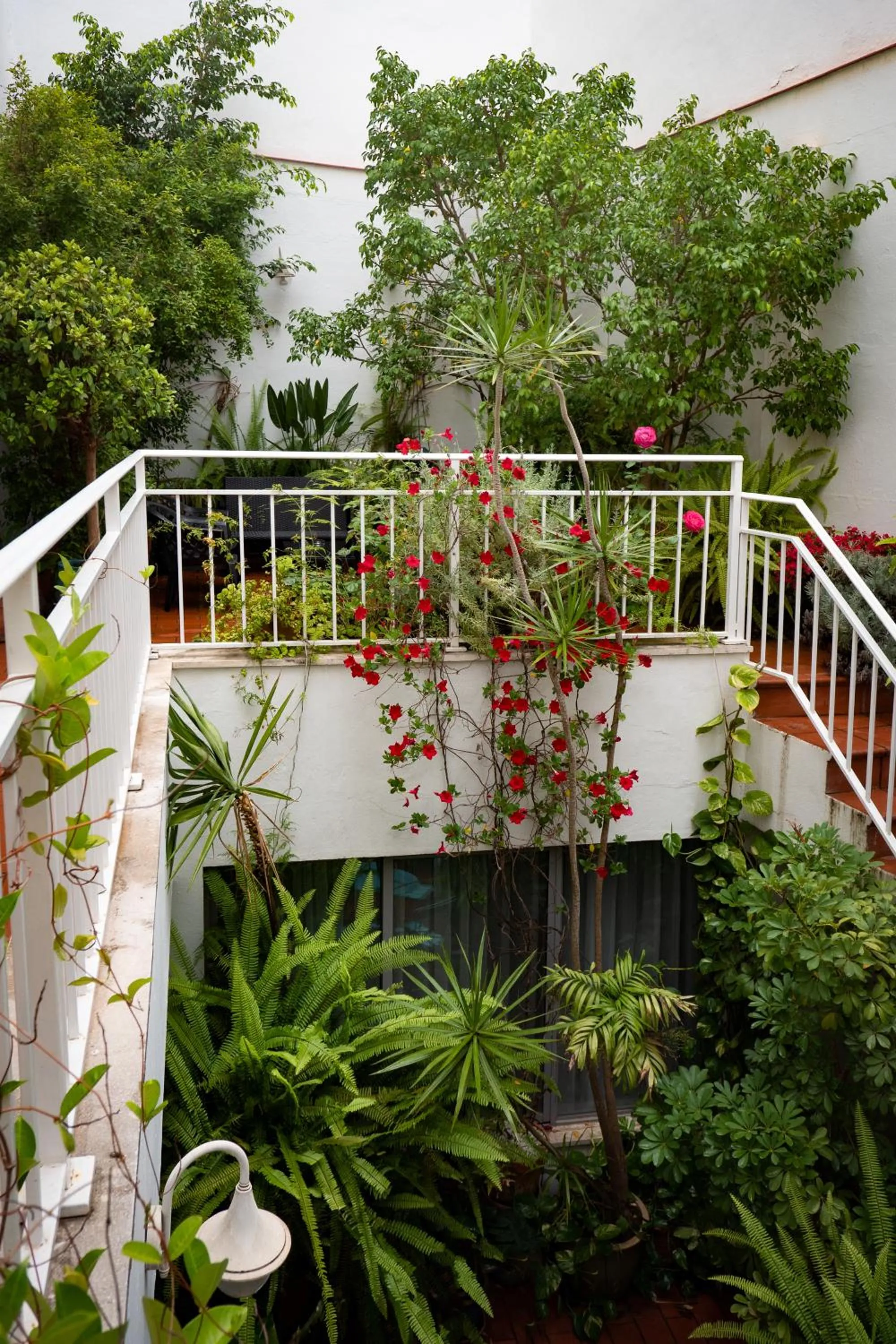 Patio in Hotel Plaza Santa Lucía