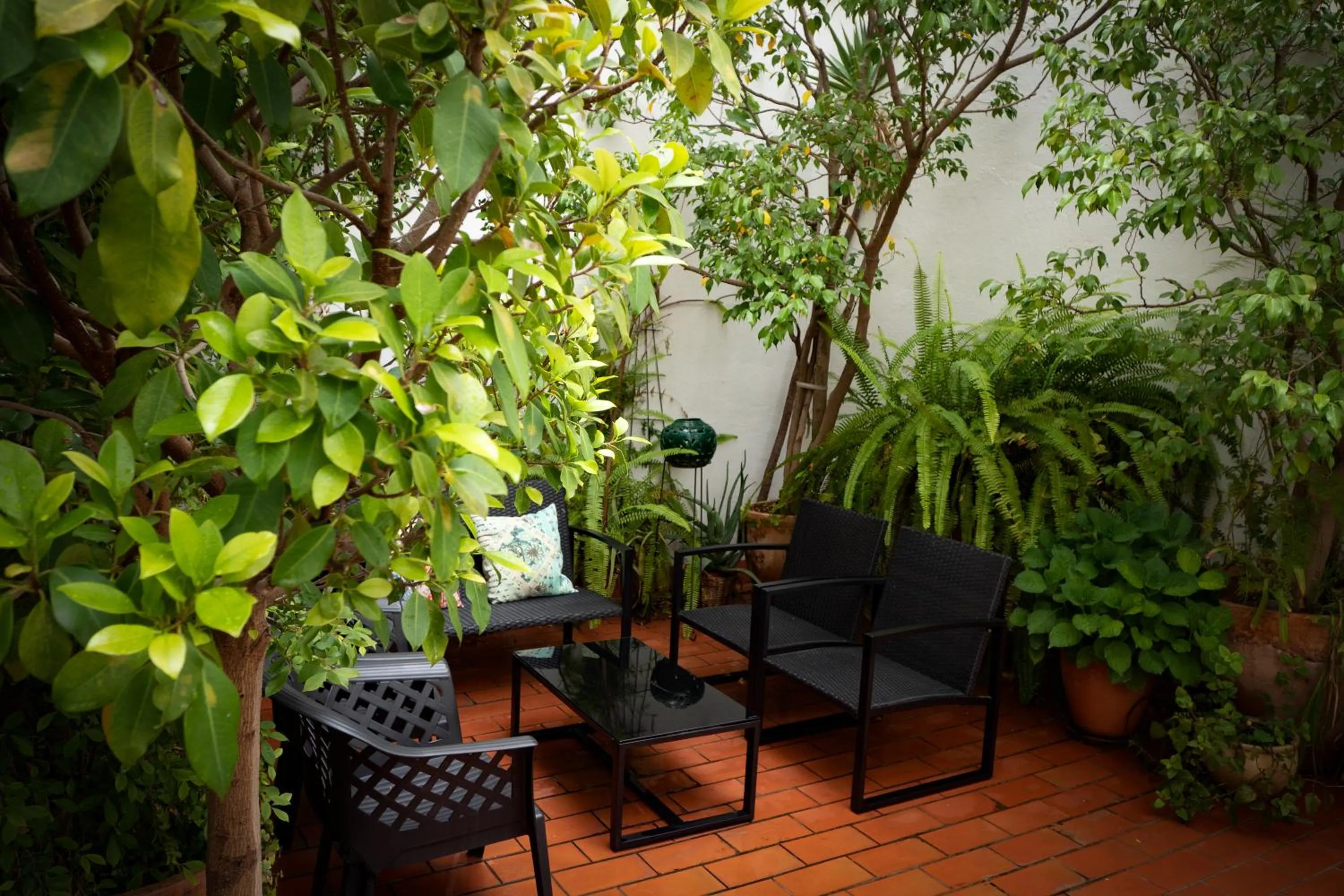 Patio in Hotel Plaza Santa Lucía
