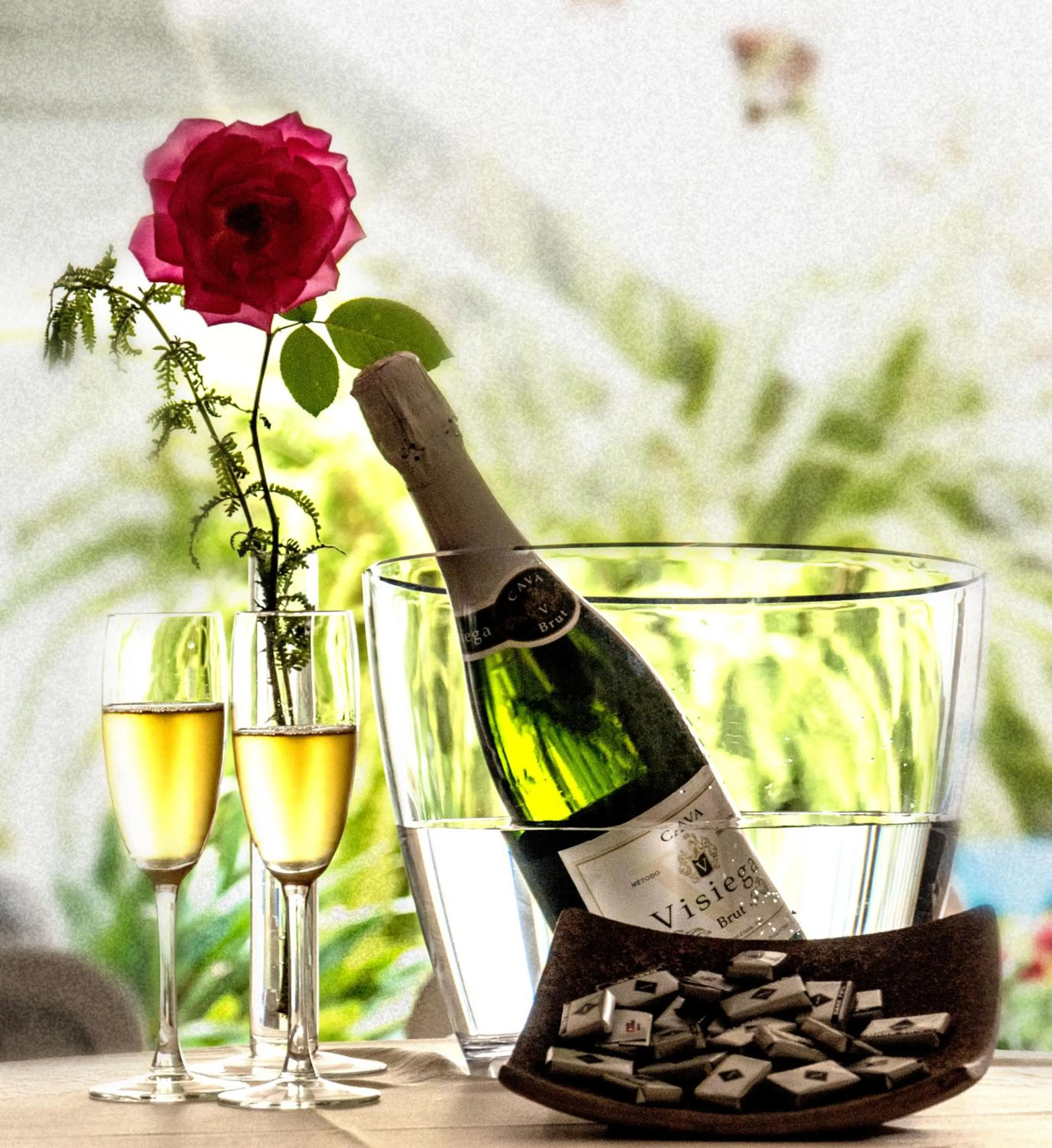 Alcoholic drinks in Hotel Plaza Santa Lucía