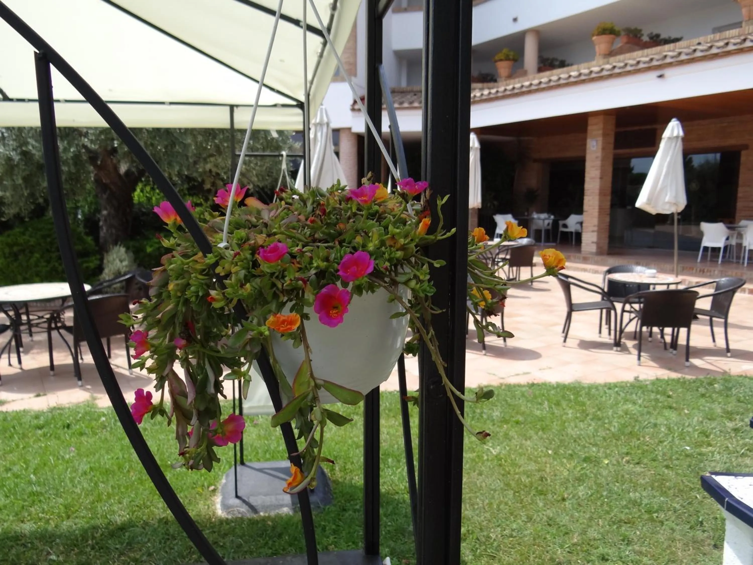 Garden in Mas Gallau