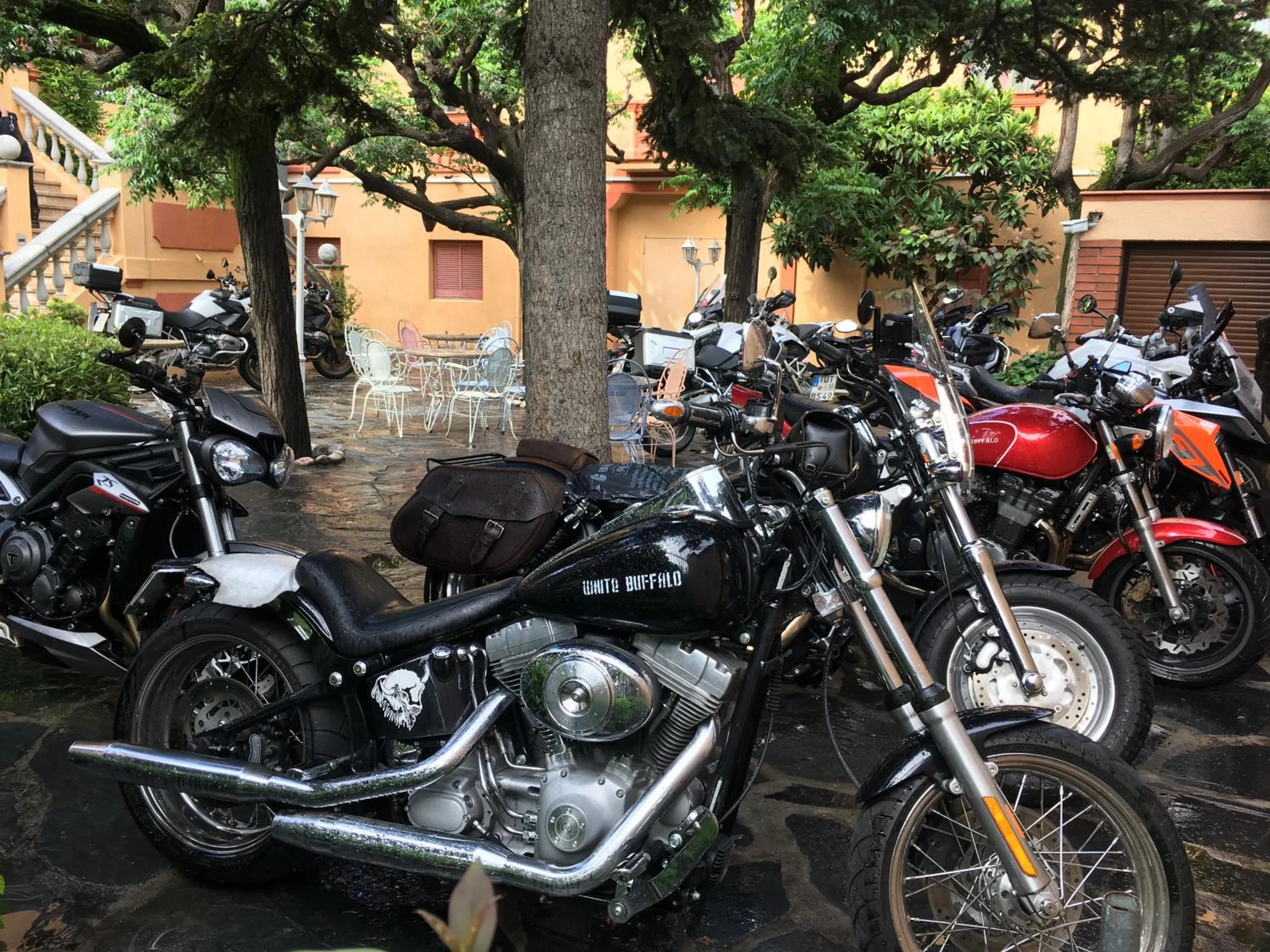 Activities in Hotel Andria