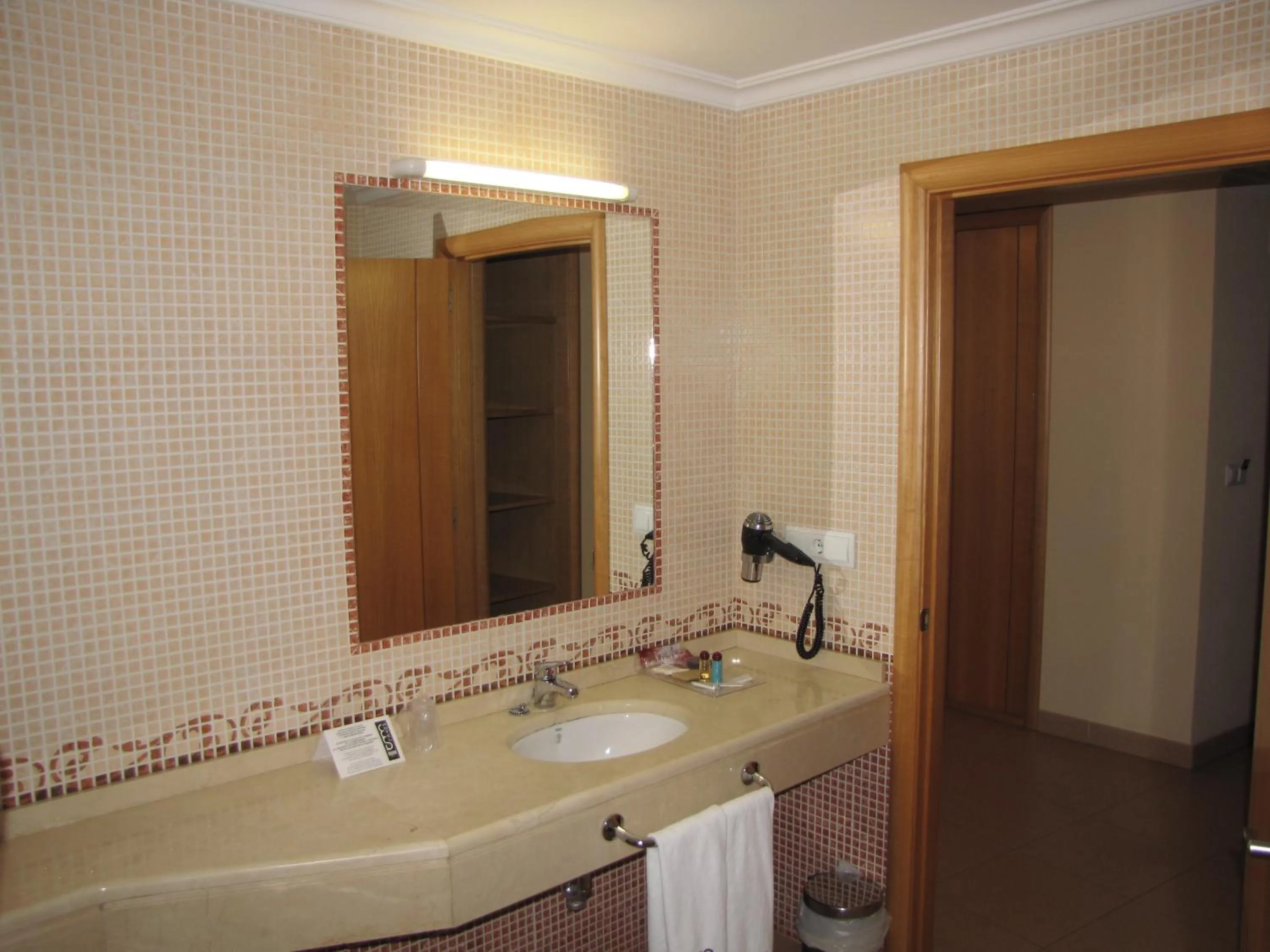 Bathroom in Hotel Room