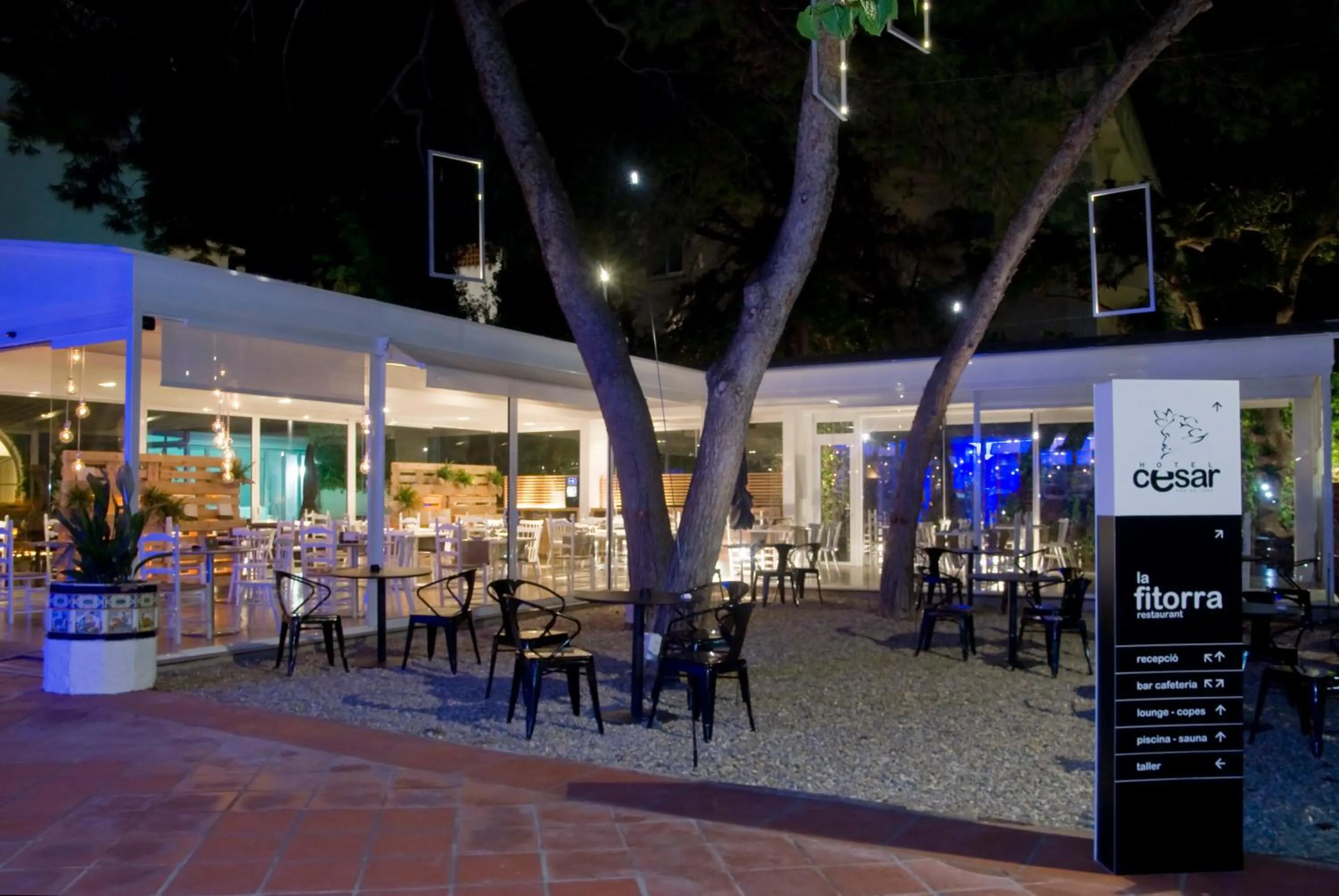 Restaurant/places to eat in Cèsar