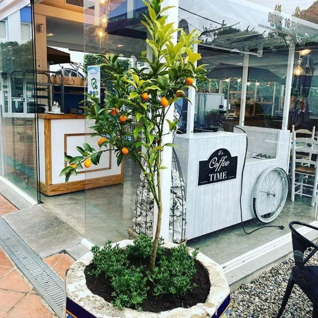 Seating area in Cèsar