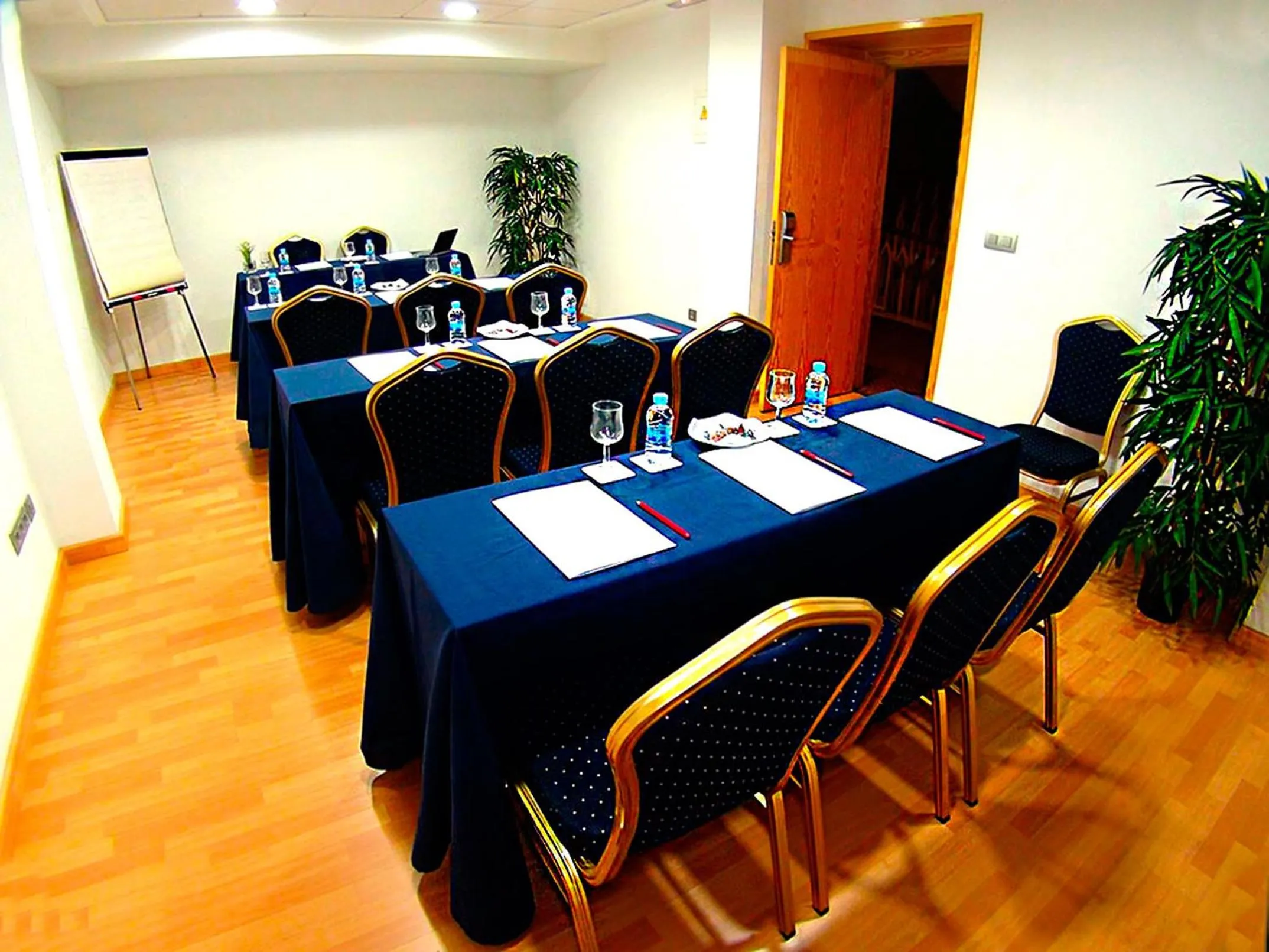 Business facilities in Hotel Villa San Juan