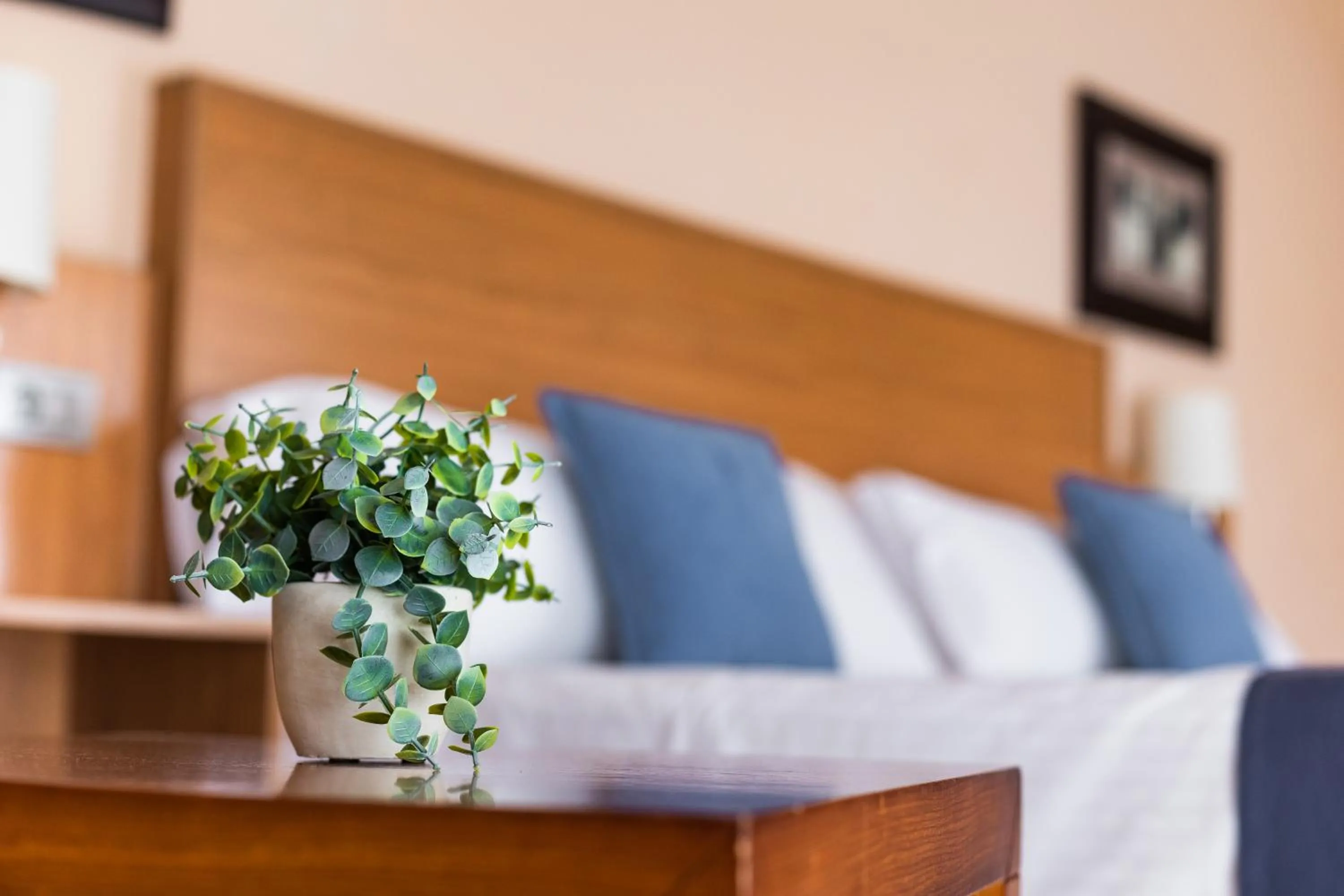 Bed in Hotel Villa San Juan