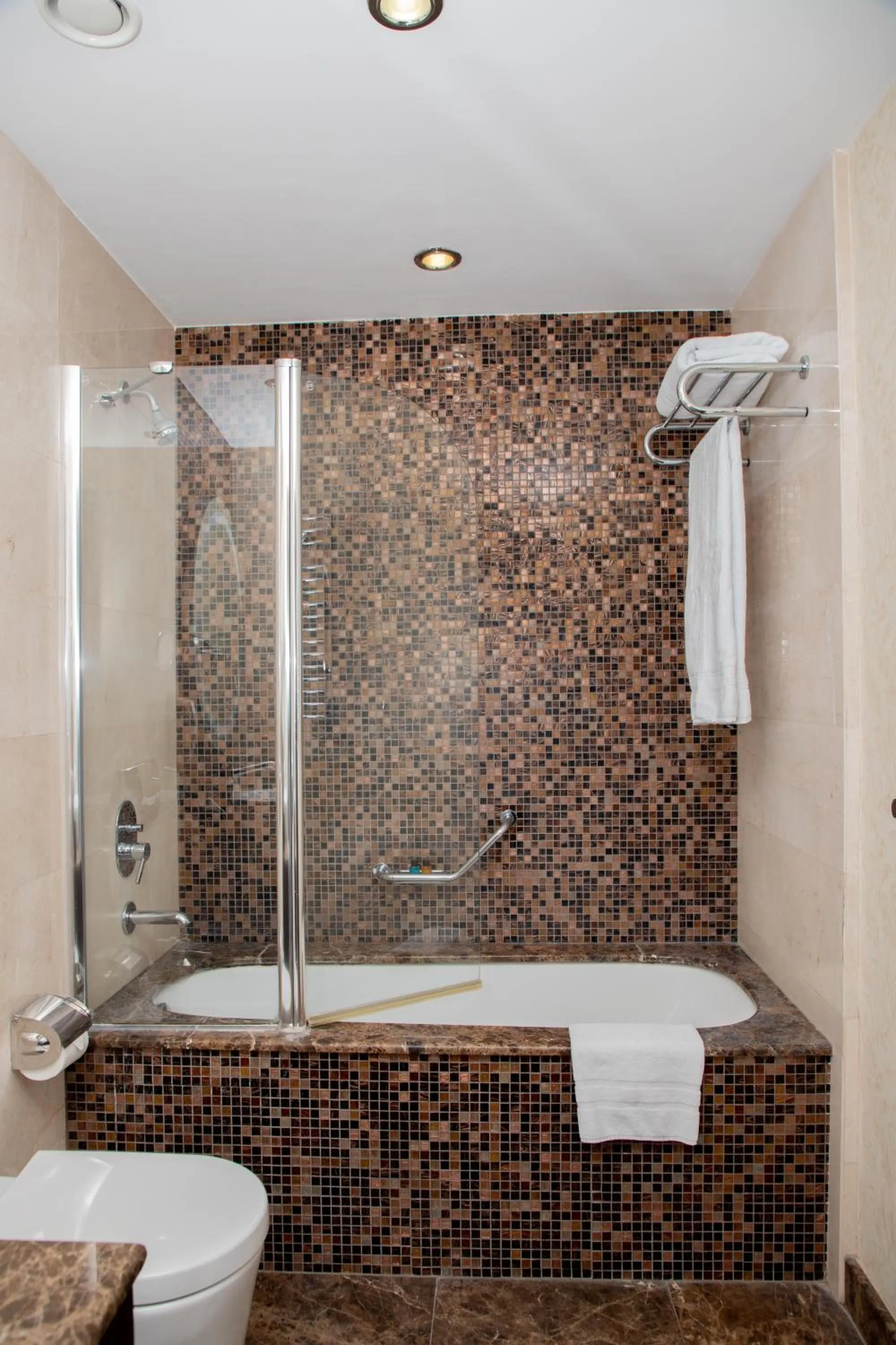 Shower in Badamdar Hotel and Residences