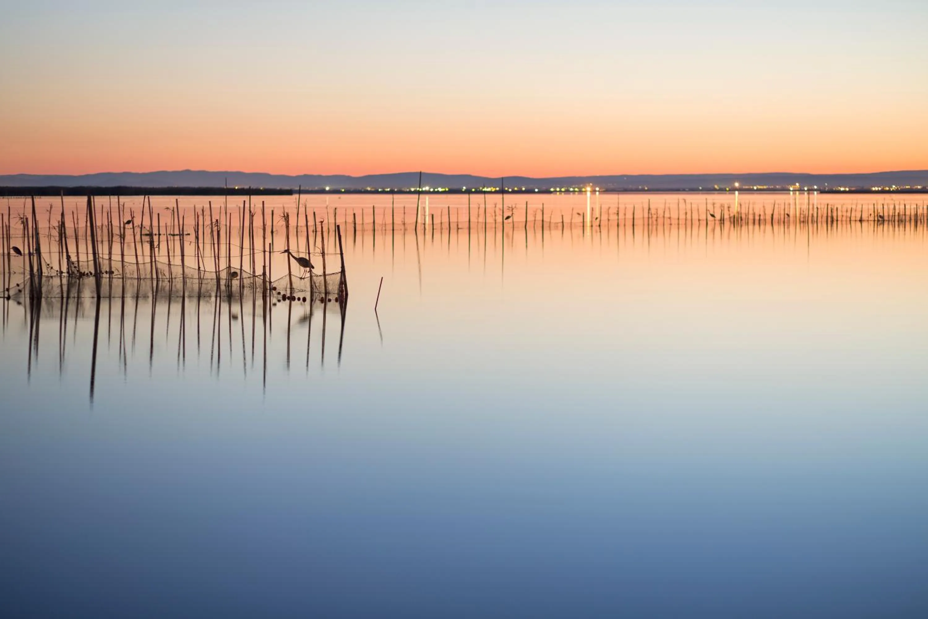 Natural landscape in Aparthotel Albufera