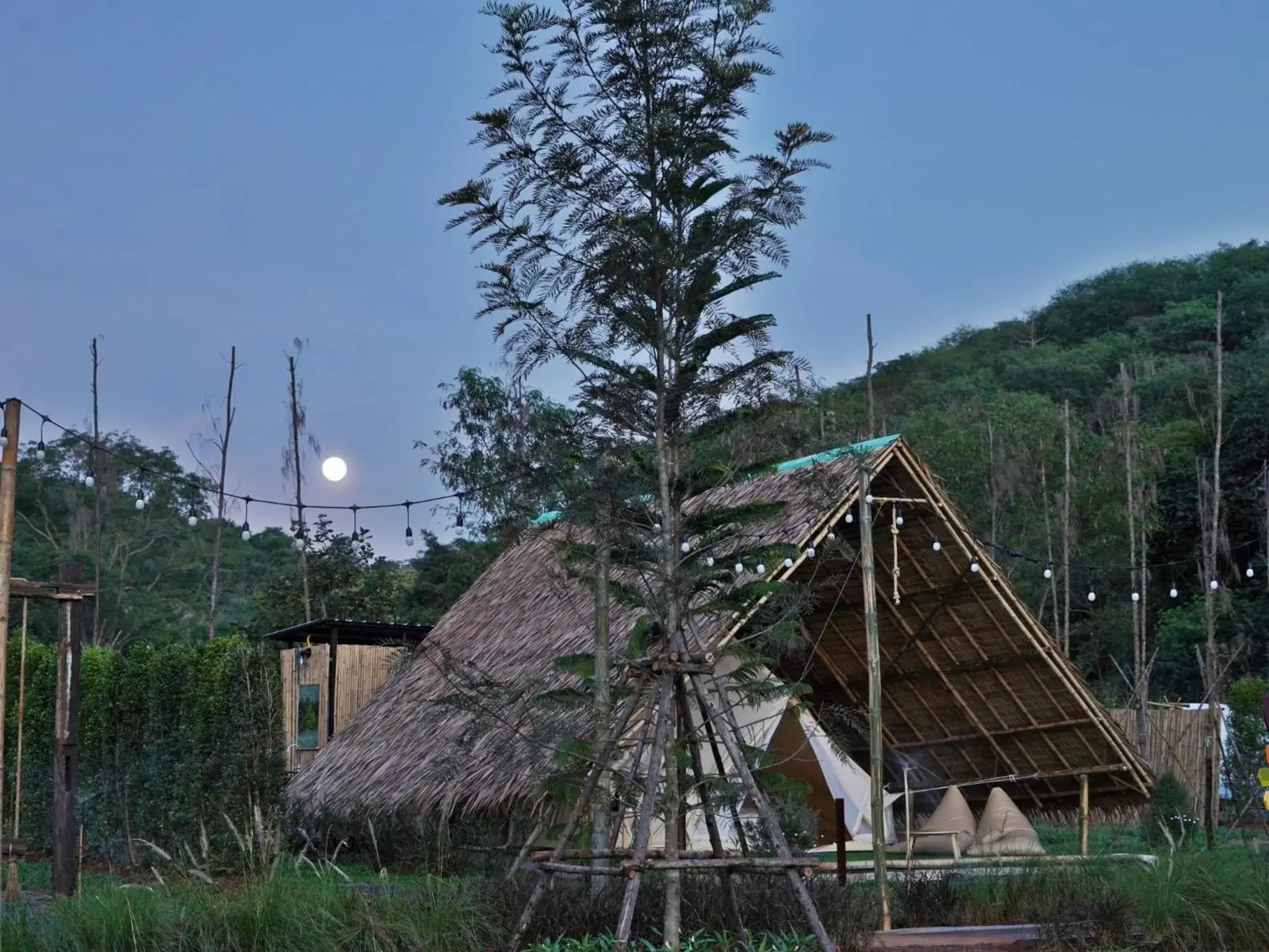 View (from property/room) in Yellowstone Camps Resort Khao Yai View (from property/room) in Yellowstone Camps Resort Khao Yai