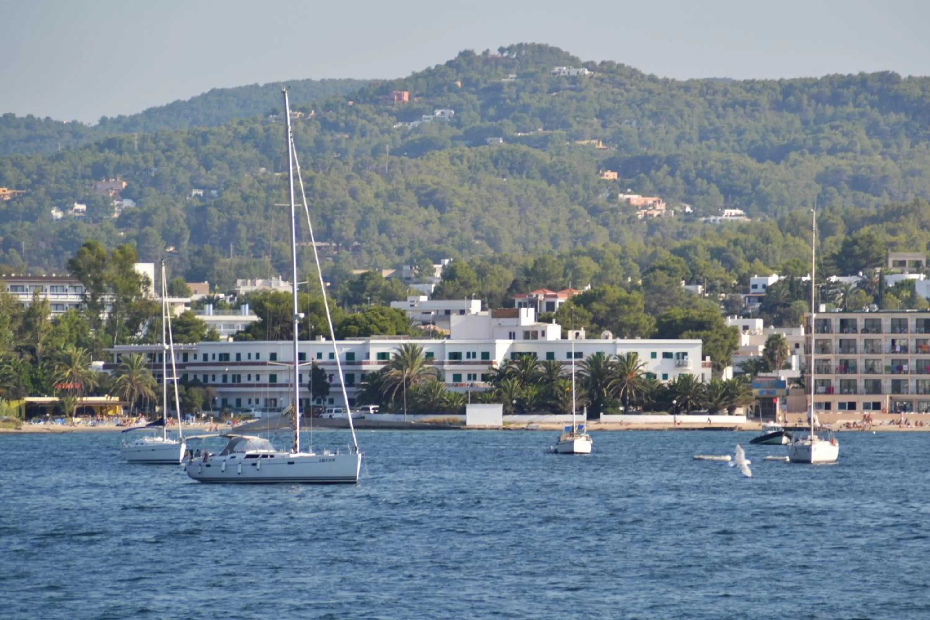 Nearby landmark in Hotel Tagomago