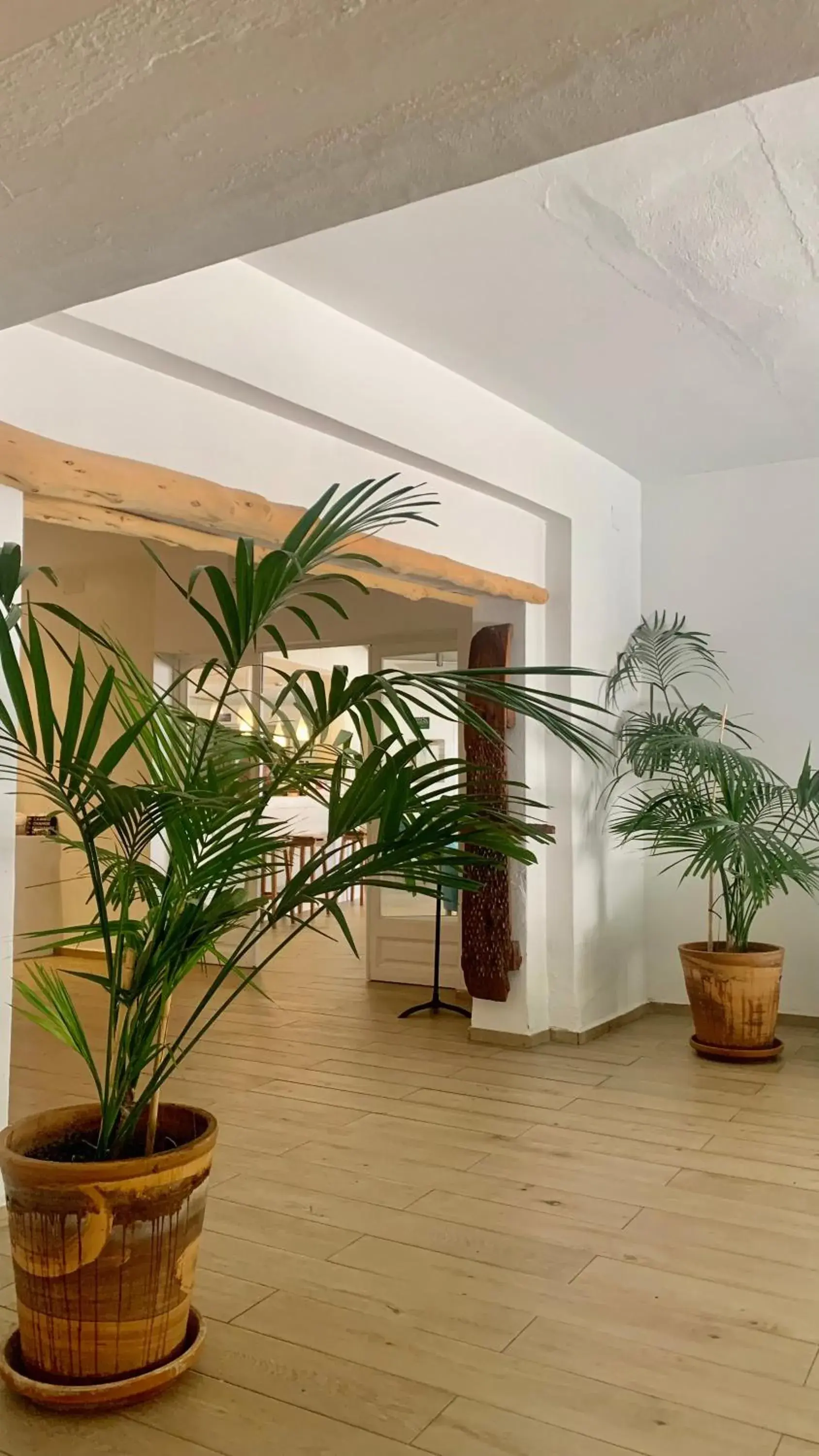 Property building in Hotel Tagomago Property building in Hotel Tagomago