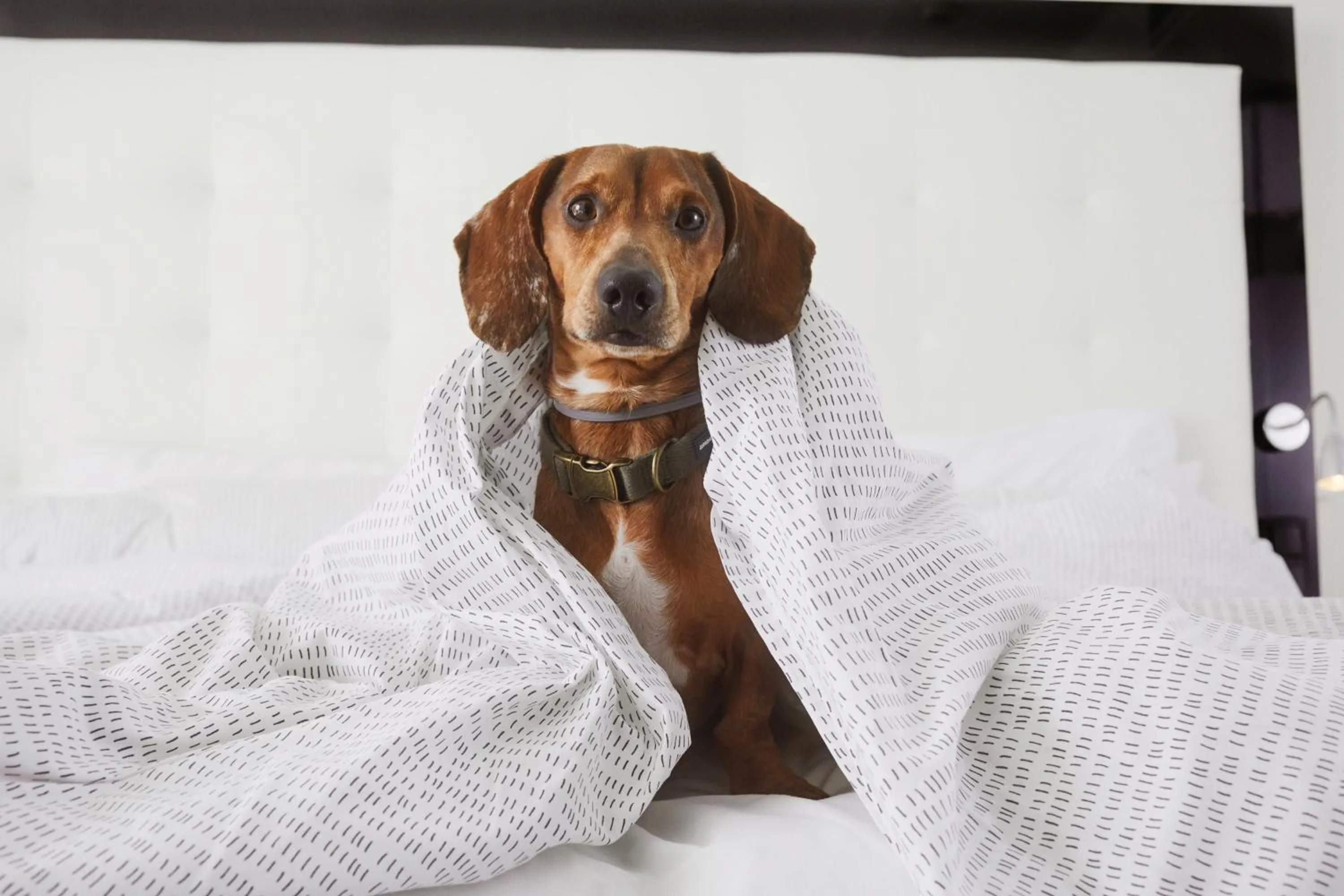 Bed in INNSiDE by Meliá Palma Bosque