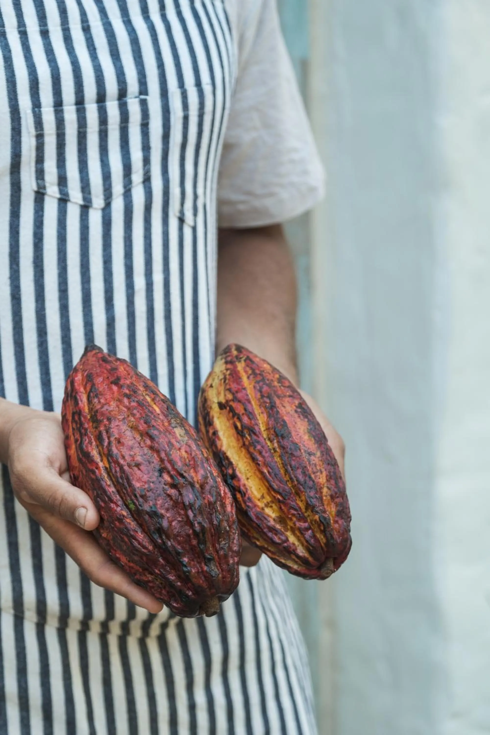 Vila Oyá - Praia de Algodões