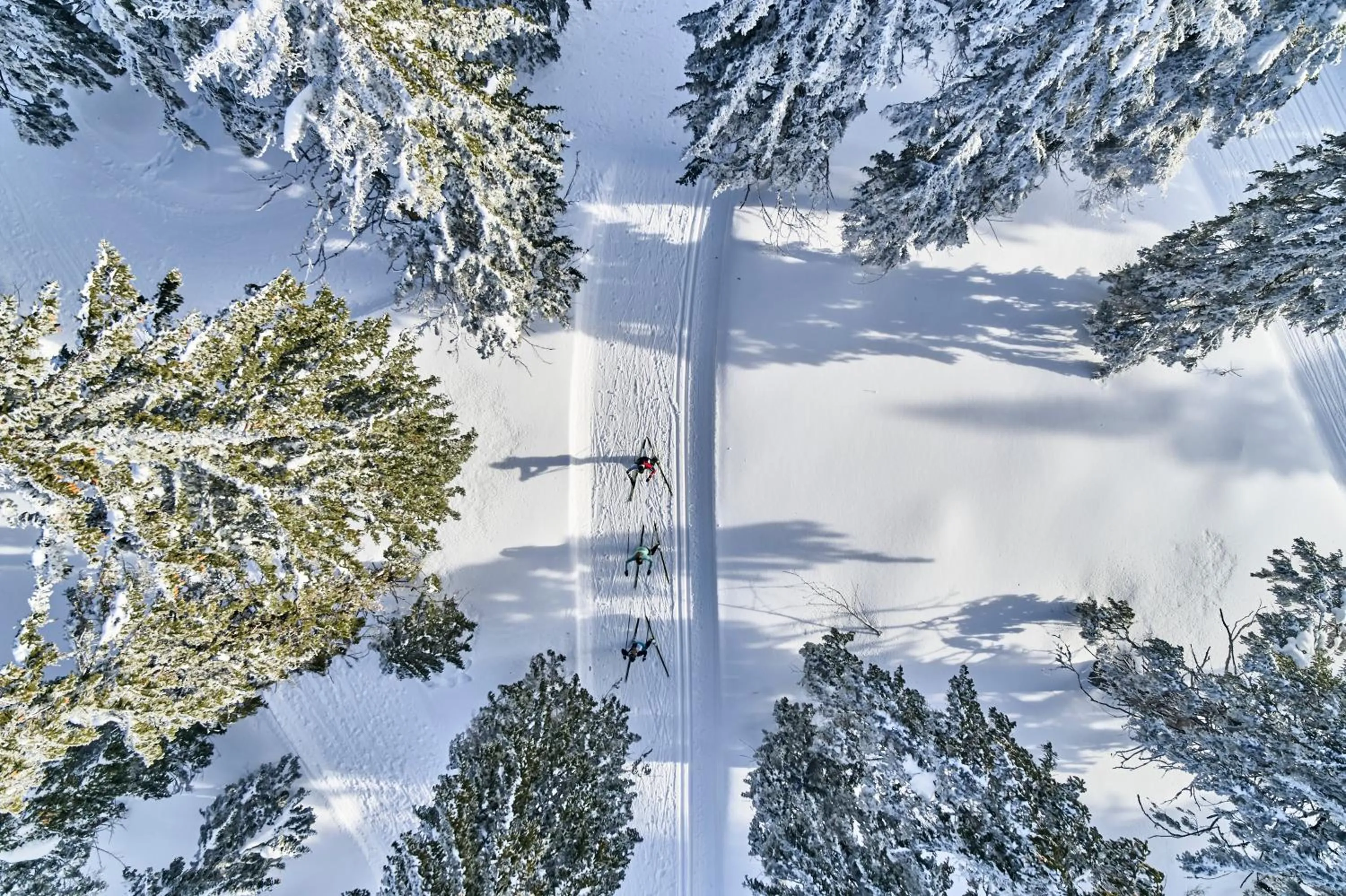 Bird's eye view in Das Kronberg Hotel - Adults Only - inkl Soft- und Heißgetränkeflat