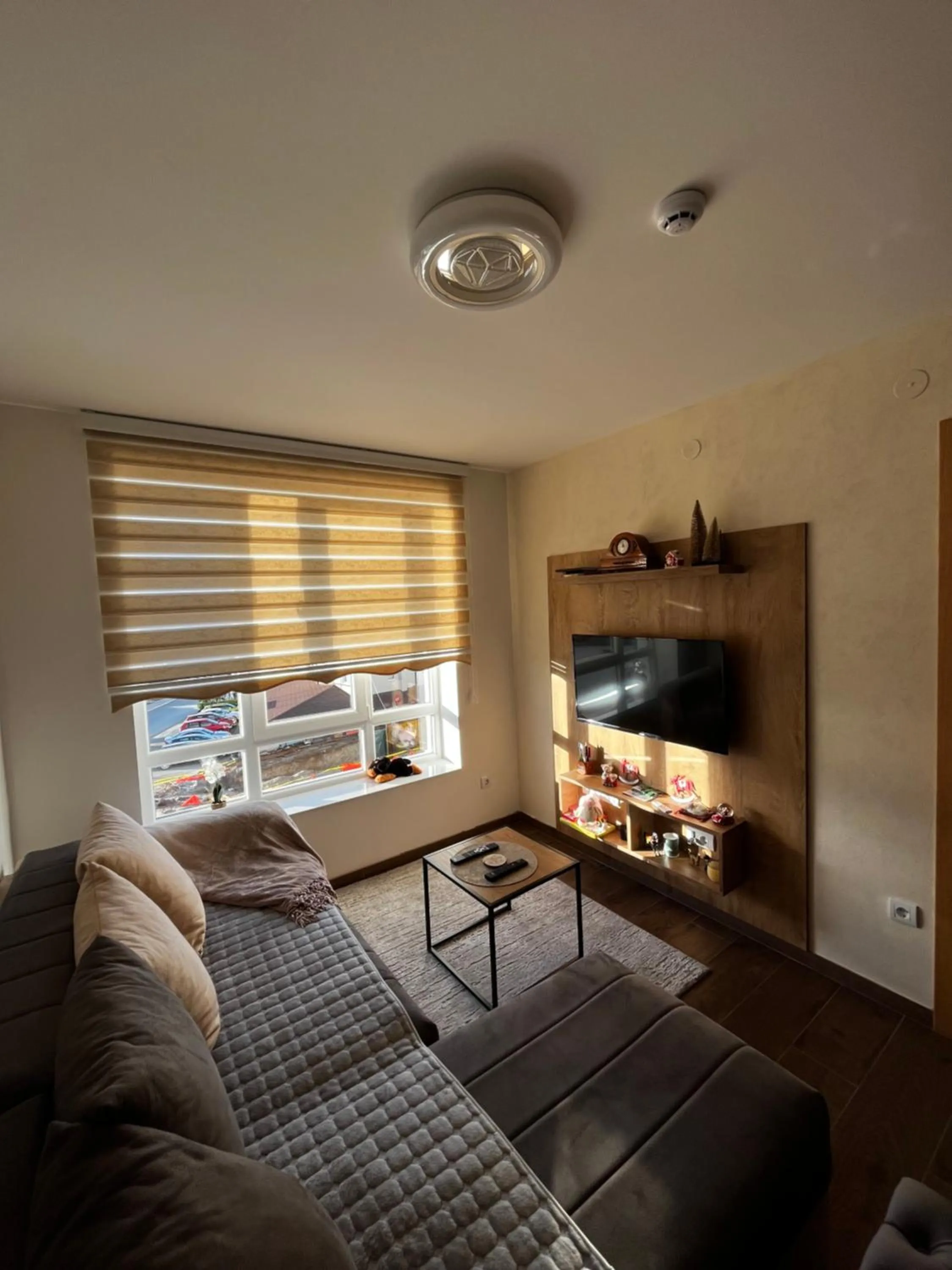 TV and multimedia in Apartments Myna in Kraljevi Cardaci