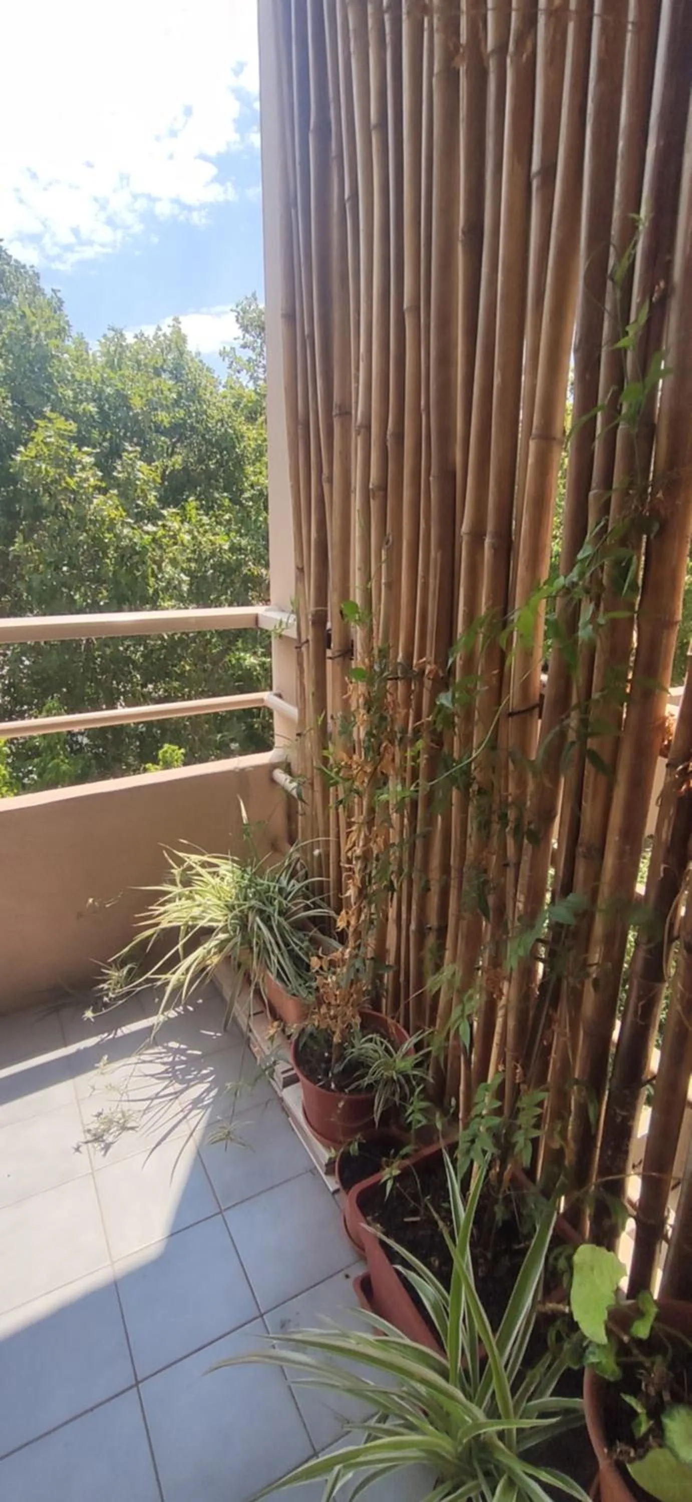 View (from property/room) in Balvanera I