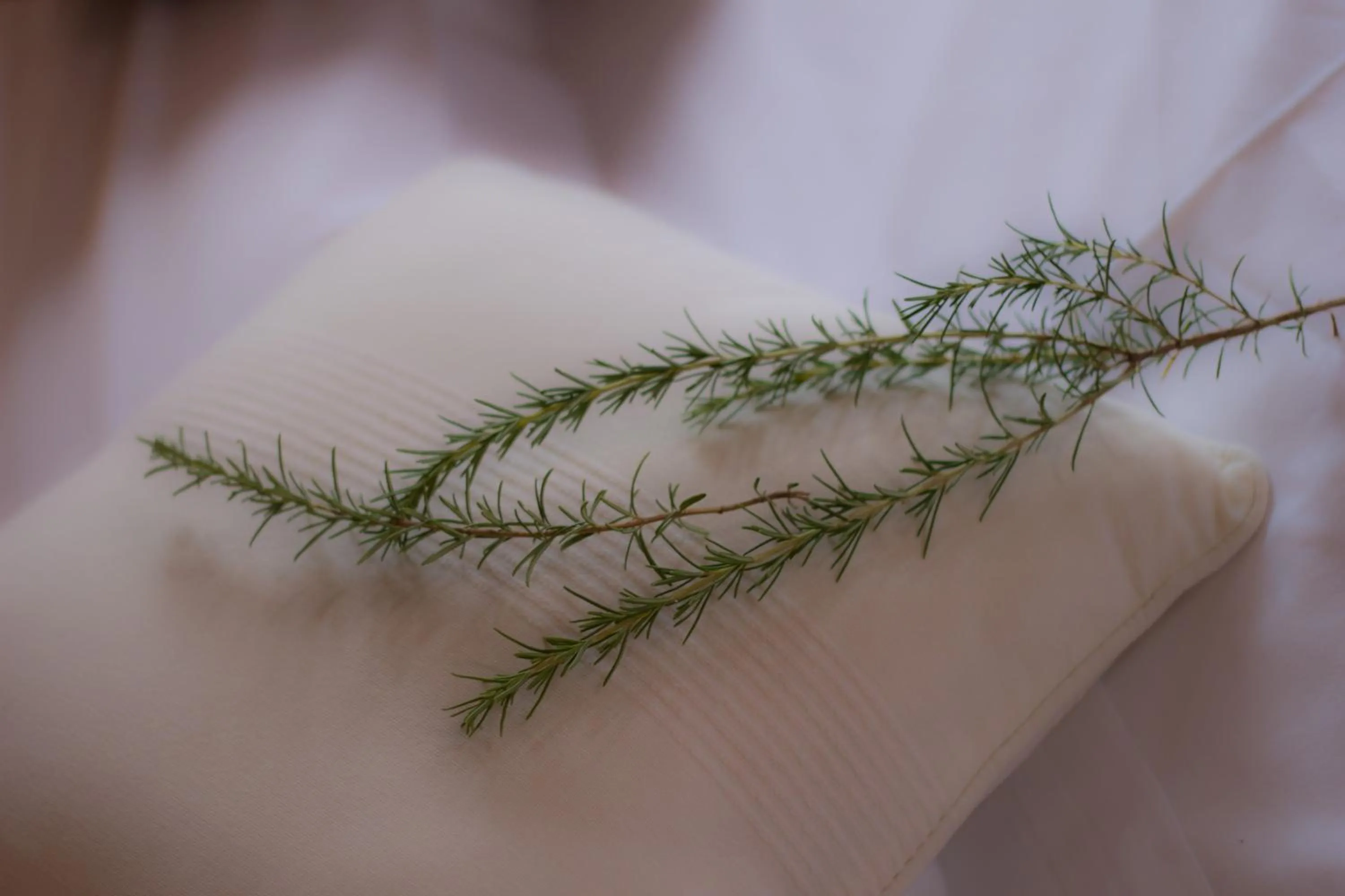 Decorative detail in Petit Hotel Hostatgeria La Victoria