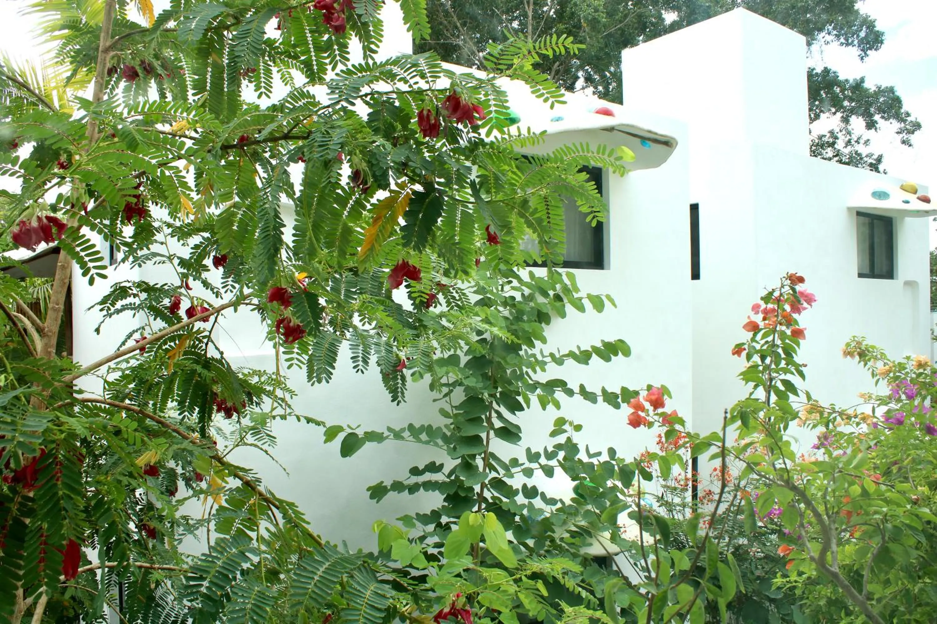 Property building in Maison Bacalar