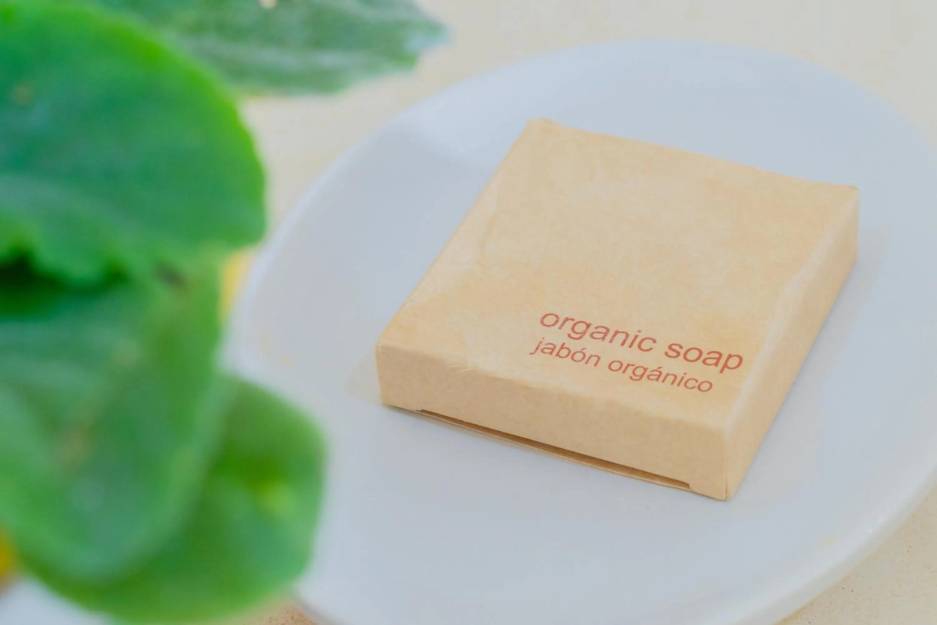 Bathroom in Maison Bacalar