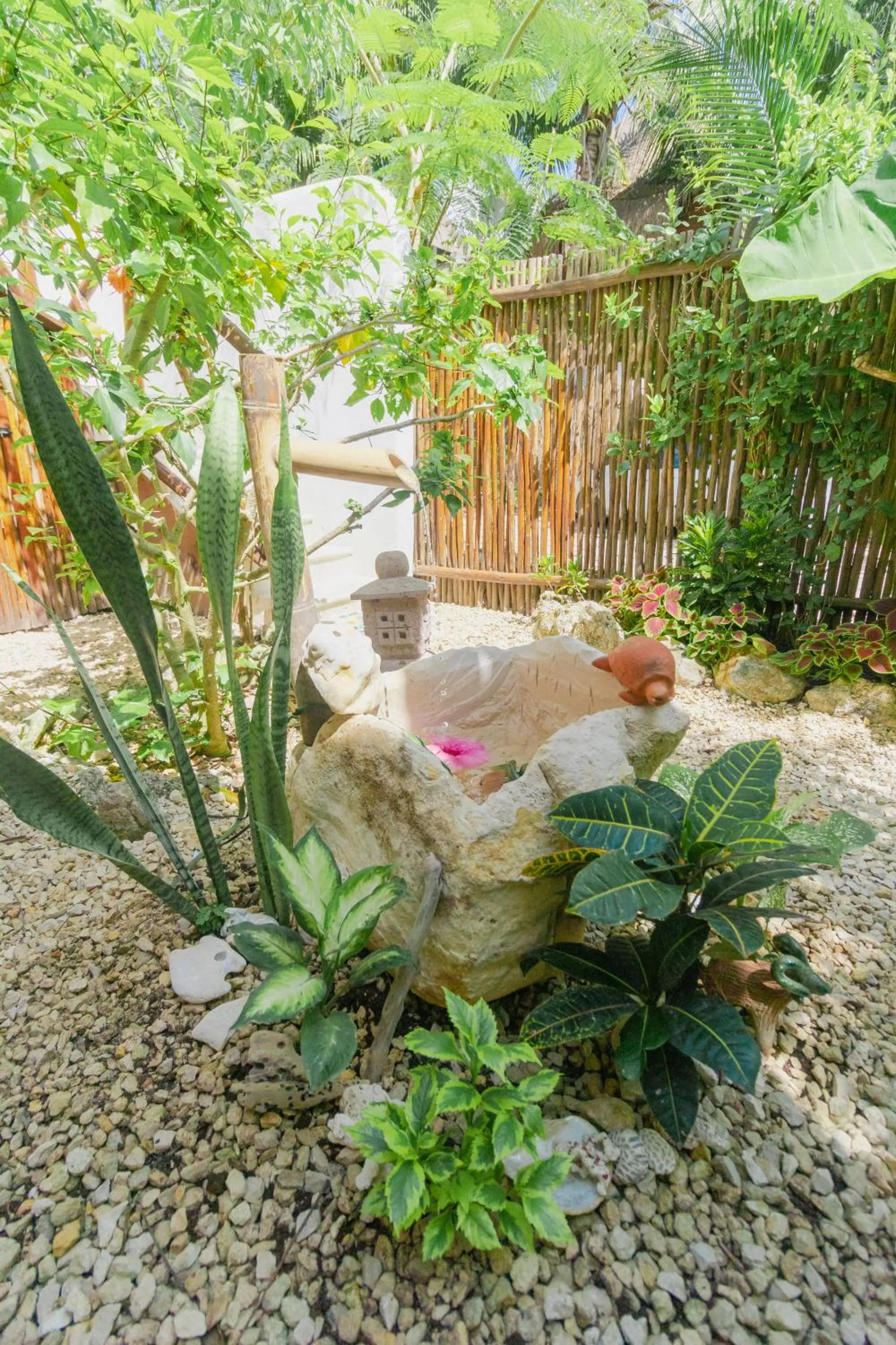 Garden in Maison Bacalar