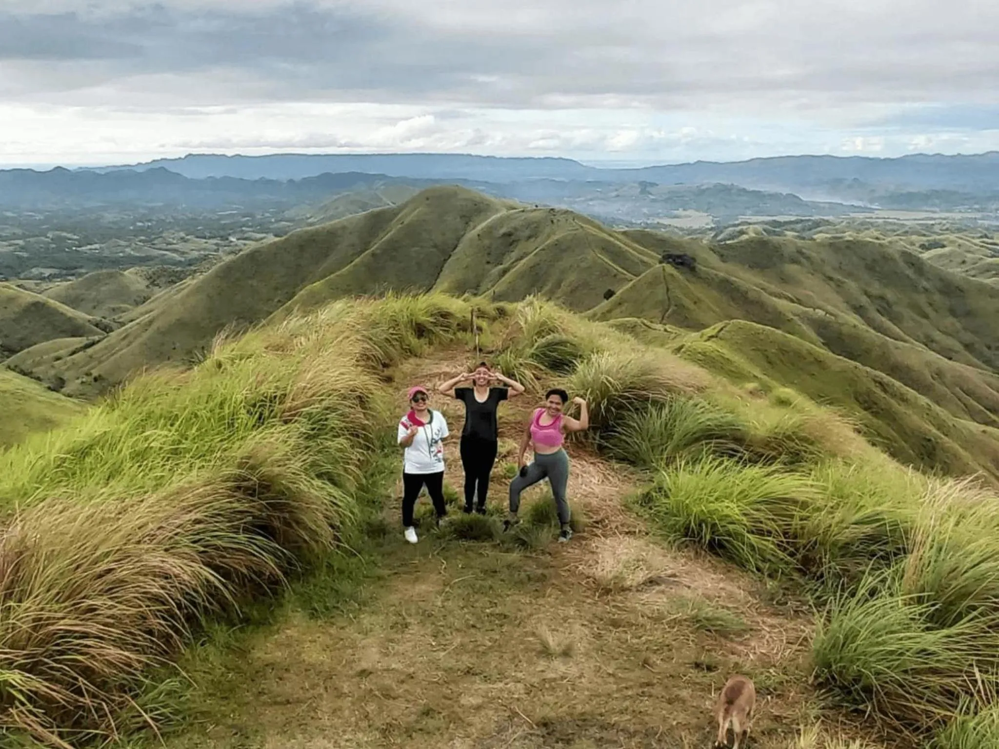 Entertainment in Mad Monkey Panglao