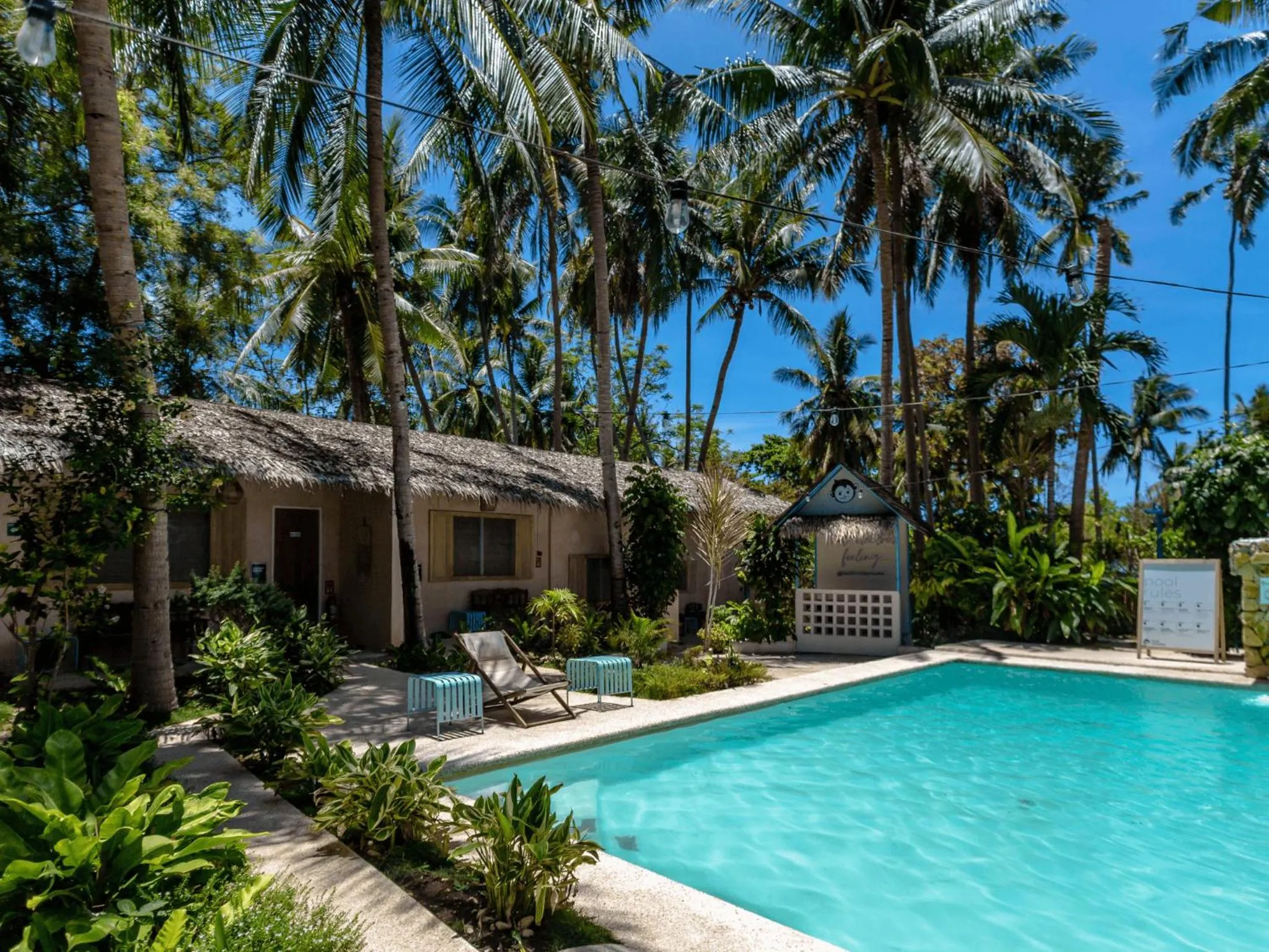 Swimming pool in Mad Monkey Panglao