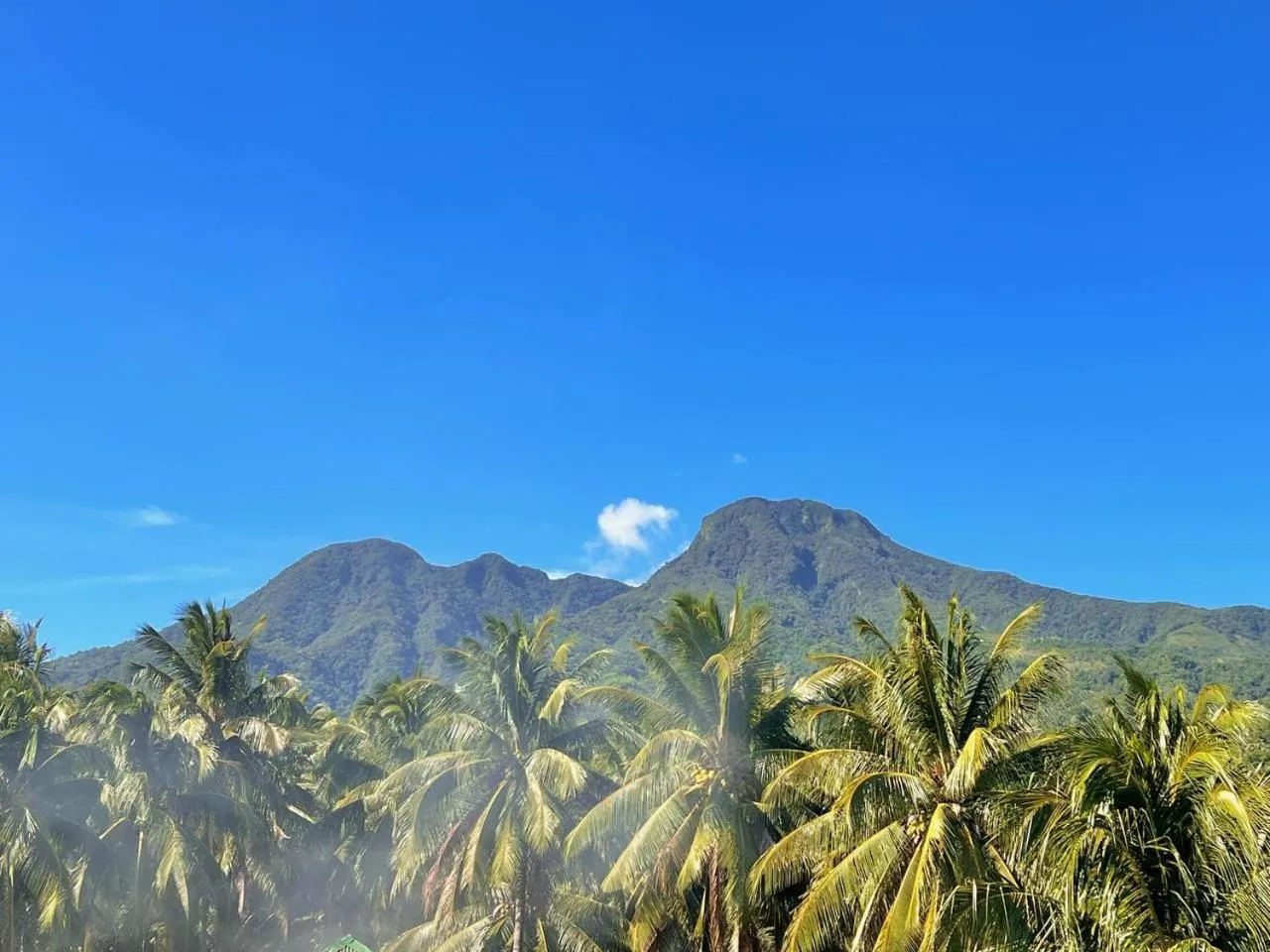 Taylors Plantacion Resort- Grande Superior Room