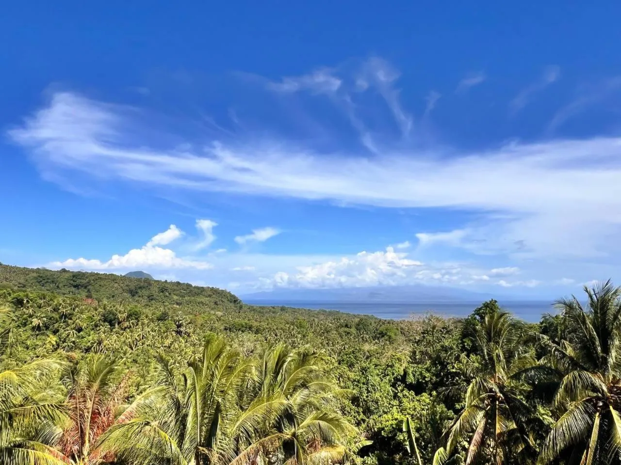 Taylors Plantacion Resort- Grande Superior Room