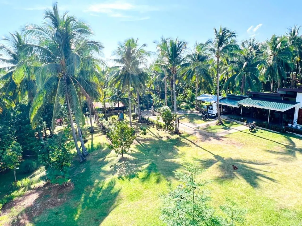 Taylors Plantacion Resort- Grande Superior Room