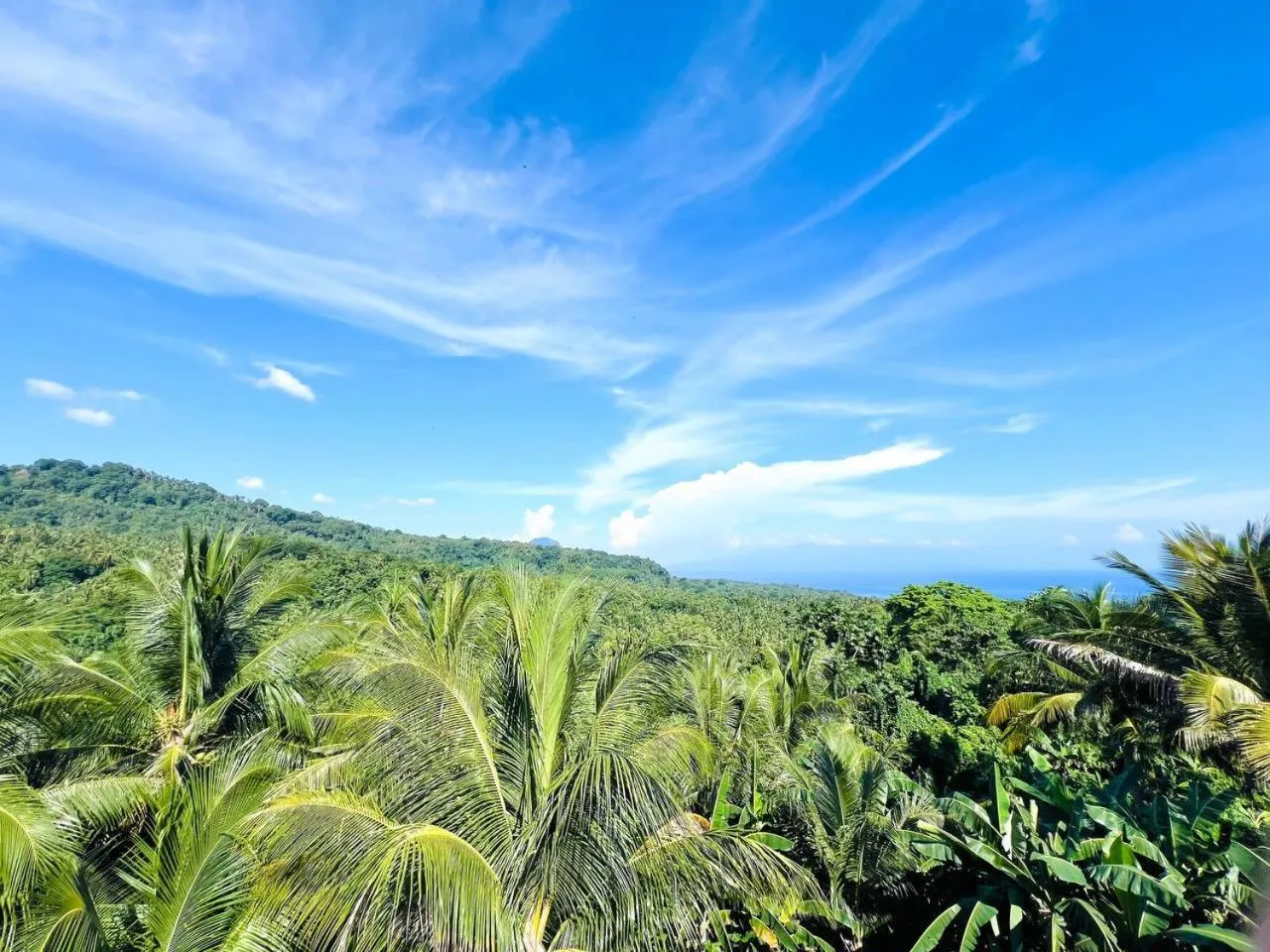 Taylors Plantacion Resort- Grande Superior Room