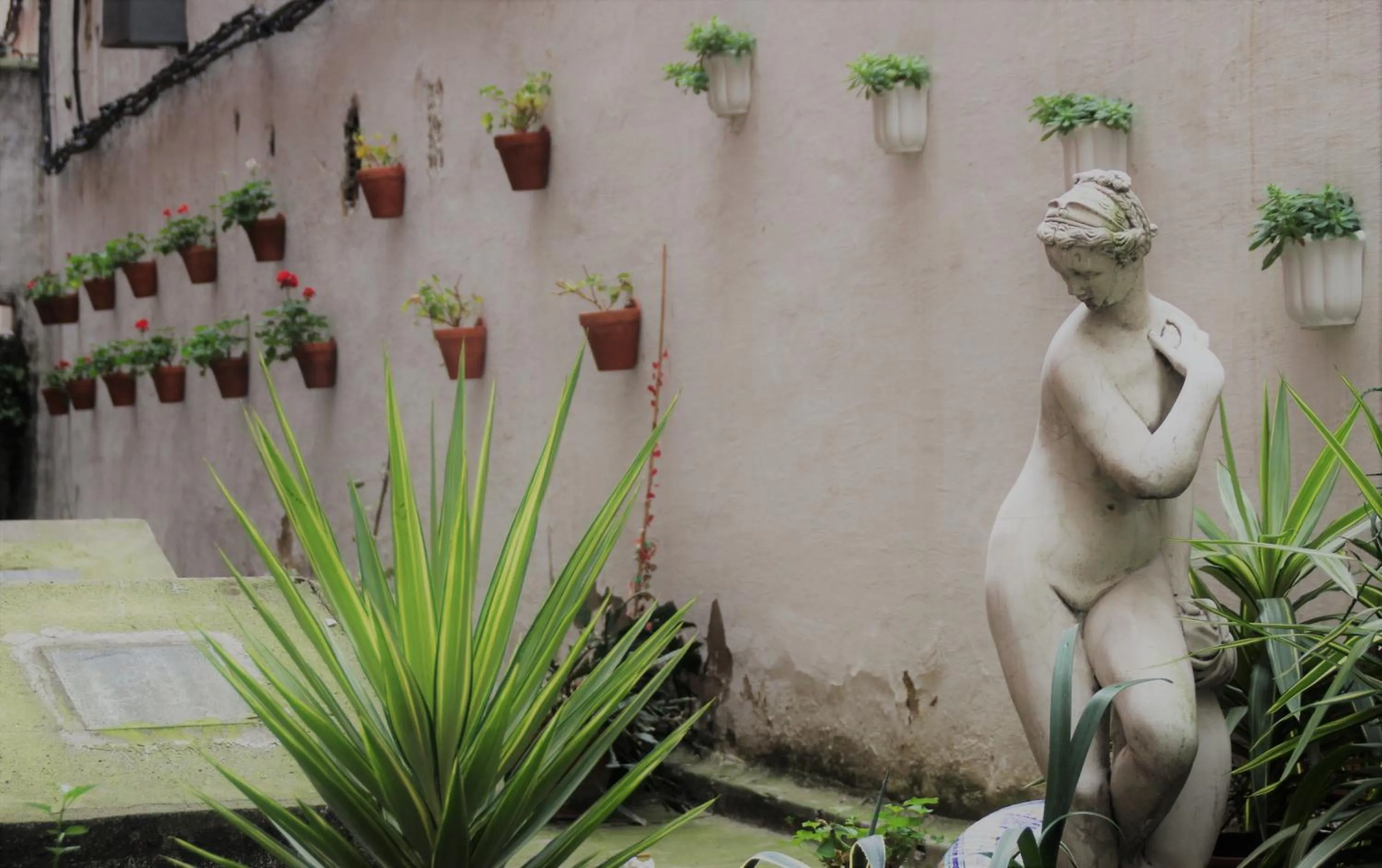 View (from property/room) in BYPILLOW Irala