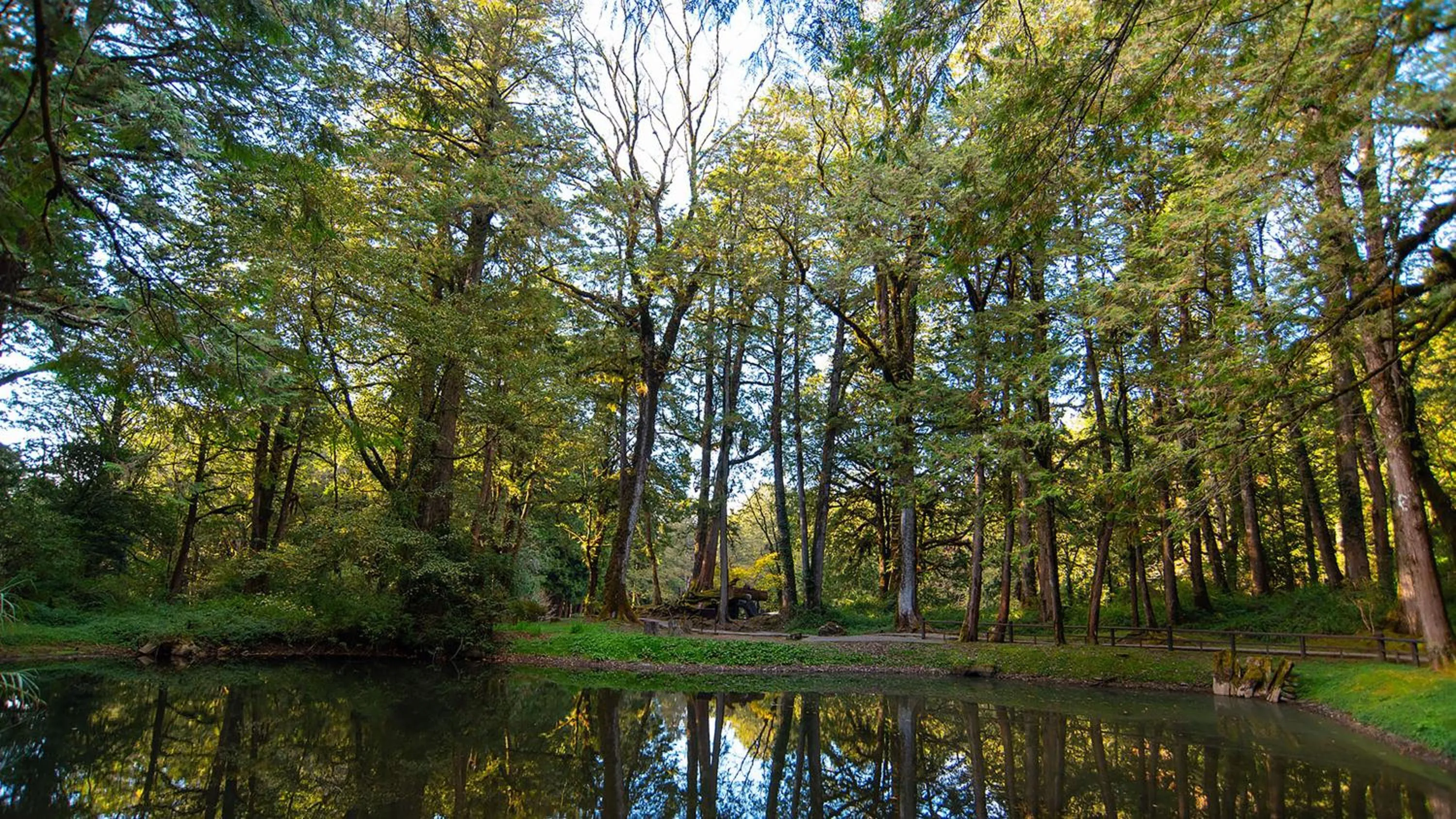 Nearby landmark in Hotel Indigo Alishan by IHG