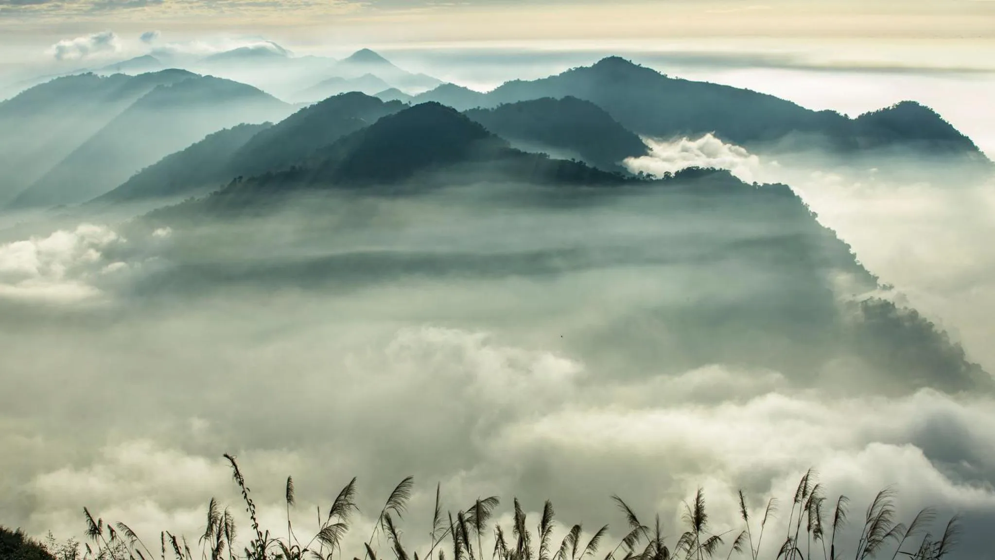 Nearby landmark in Hotel Indigo Alishan by IHG
