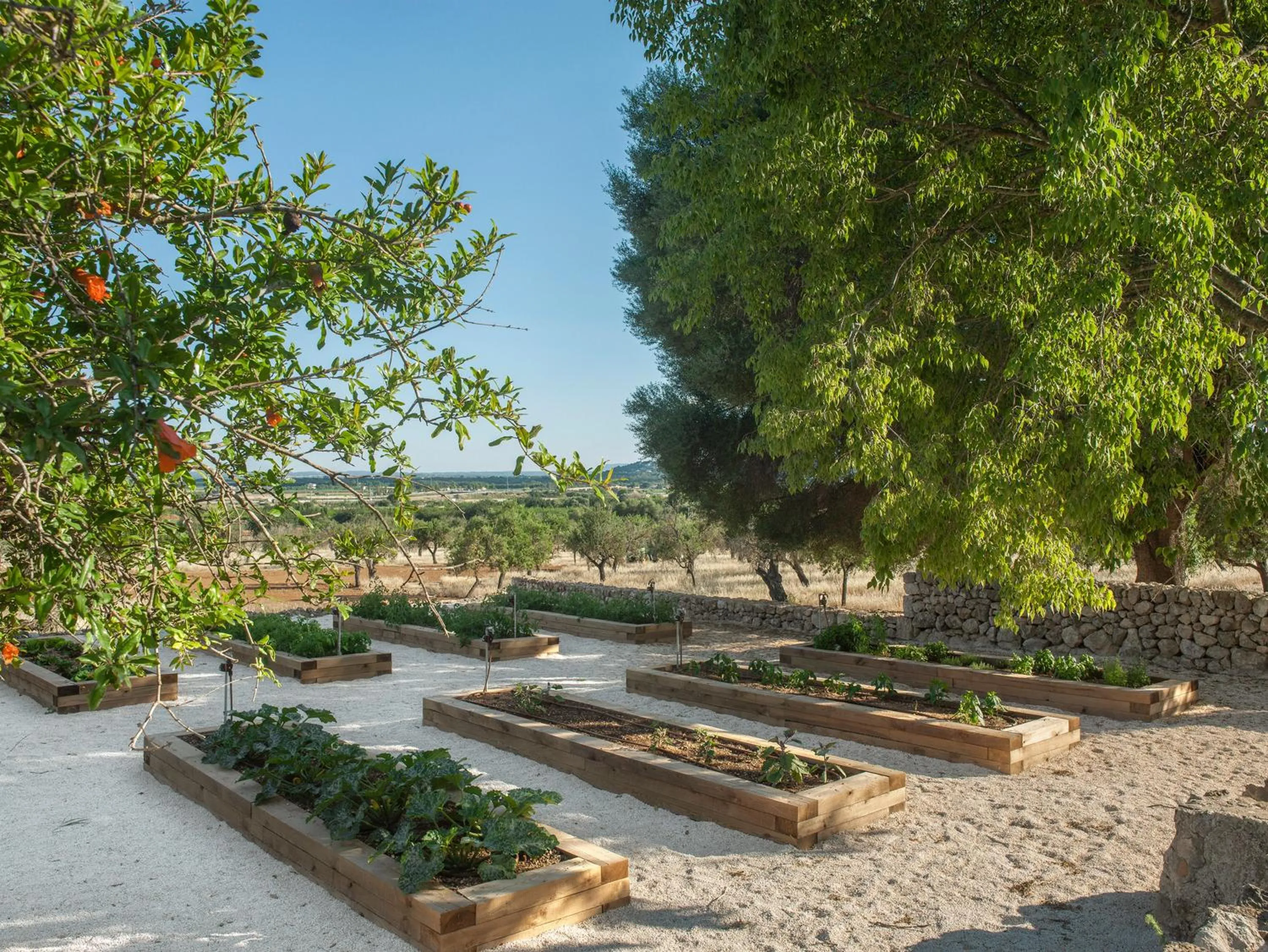 Natural landscape in The Lodge Mallorca, Small Luxury Hotels