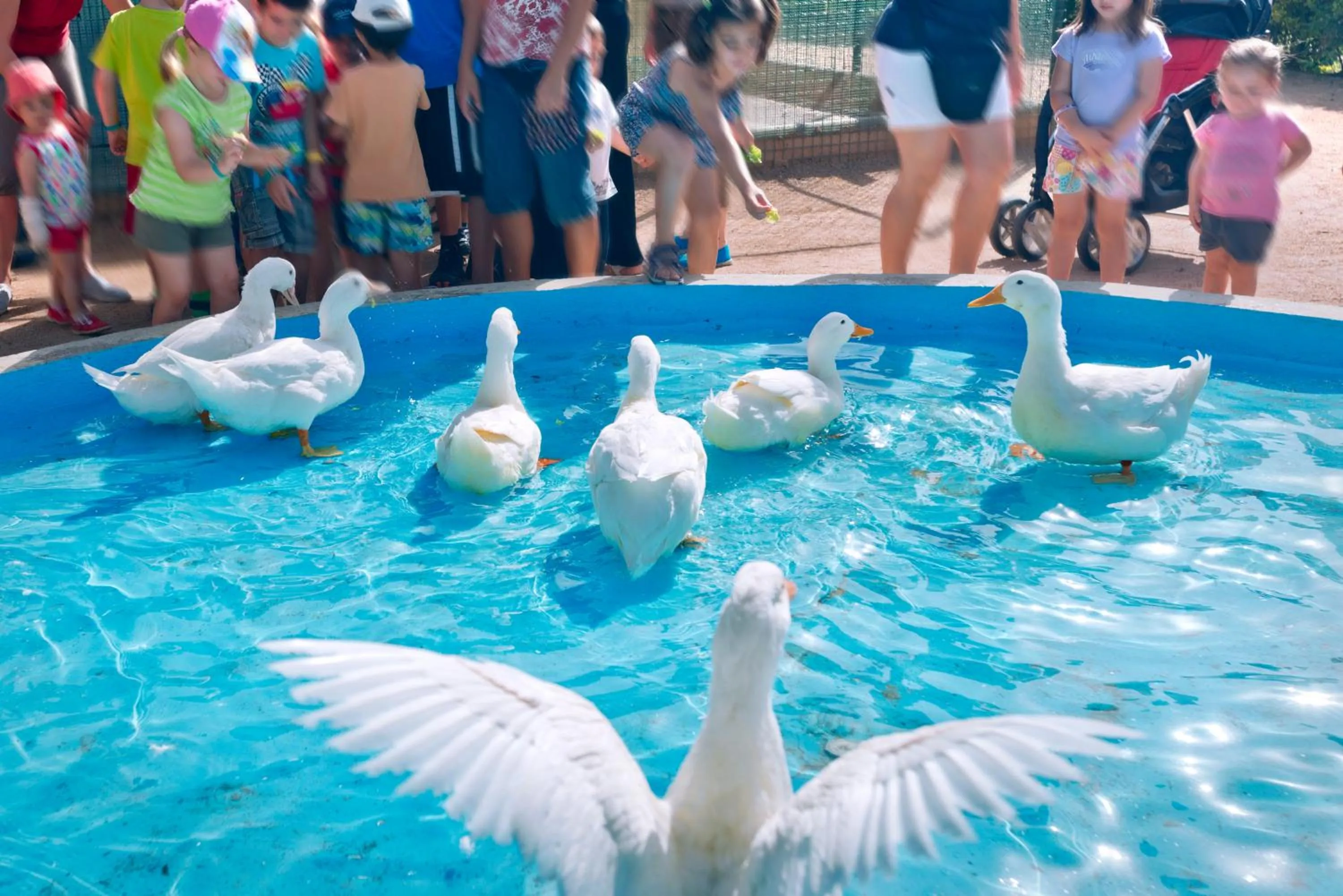 Activities in Vilar Rural De Sant Hilari Sacalm by Serhs Hotels