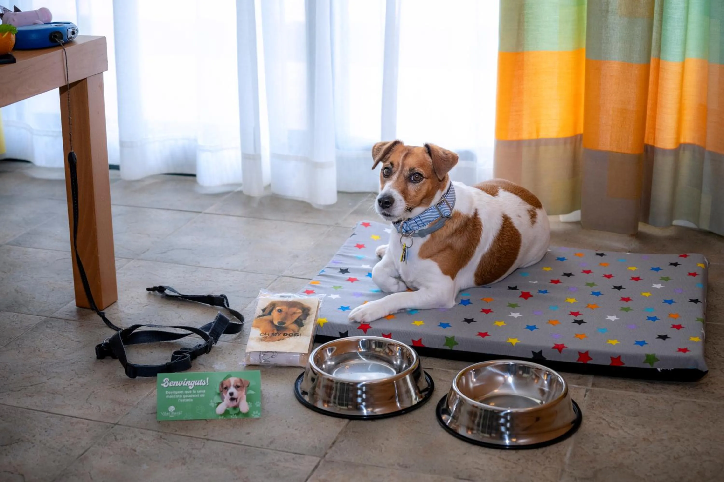 Pets in Vilar Rural De Sant Hilari Sacalm by Serhs Hotels