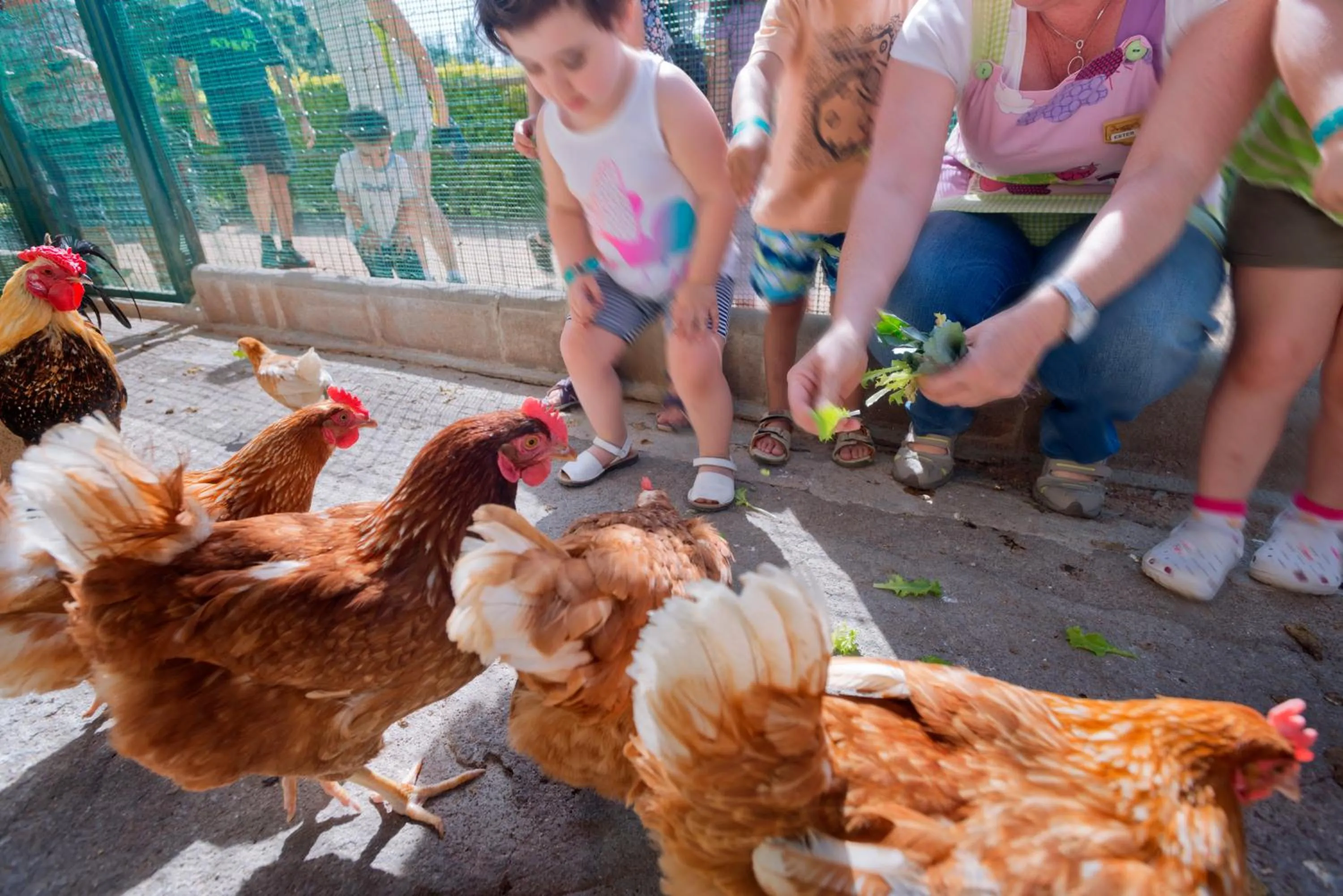 Pets in Vilar Rural De Sant Hilari Sacalm by Serhs Hotels